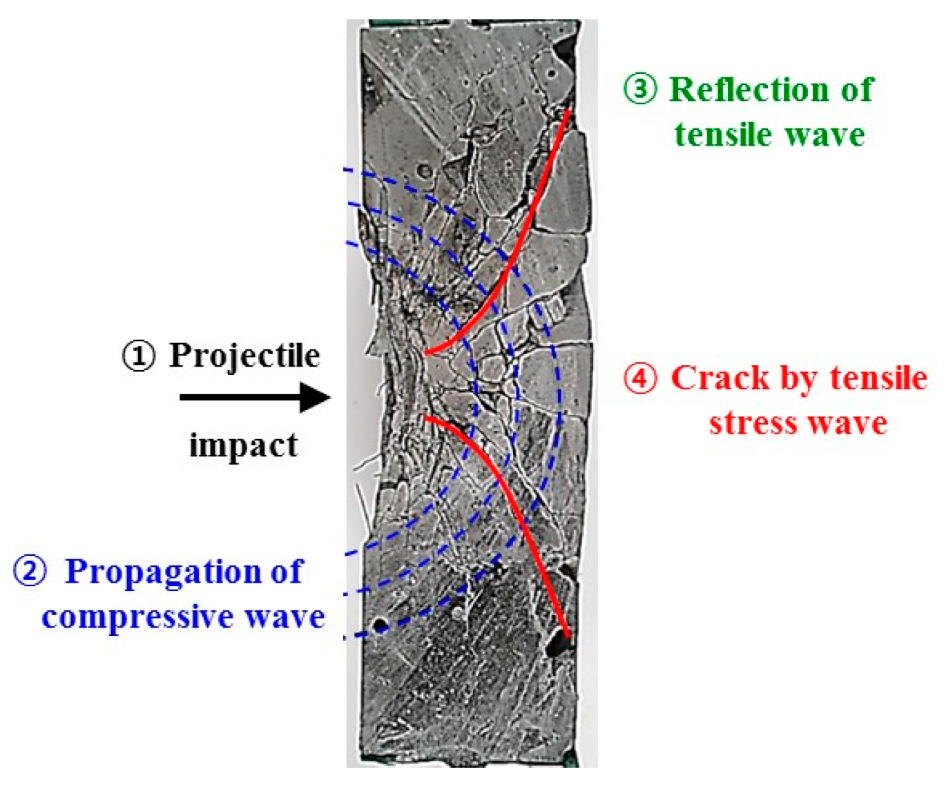 Materials 11 00409 g001