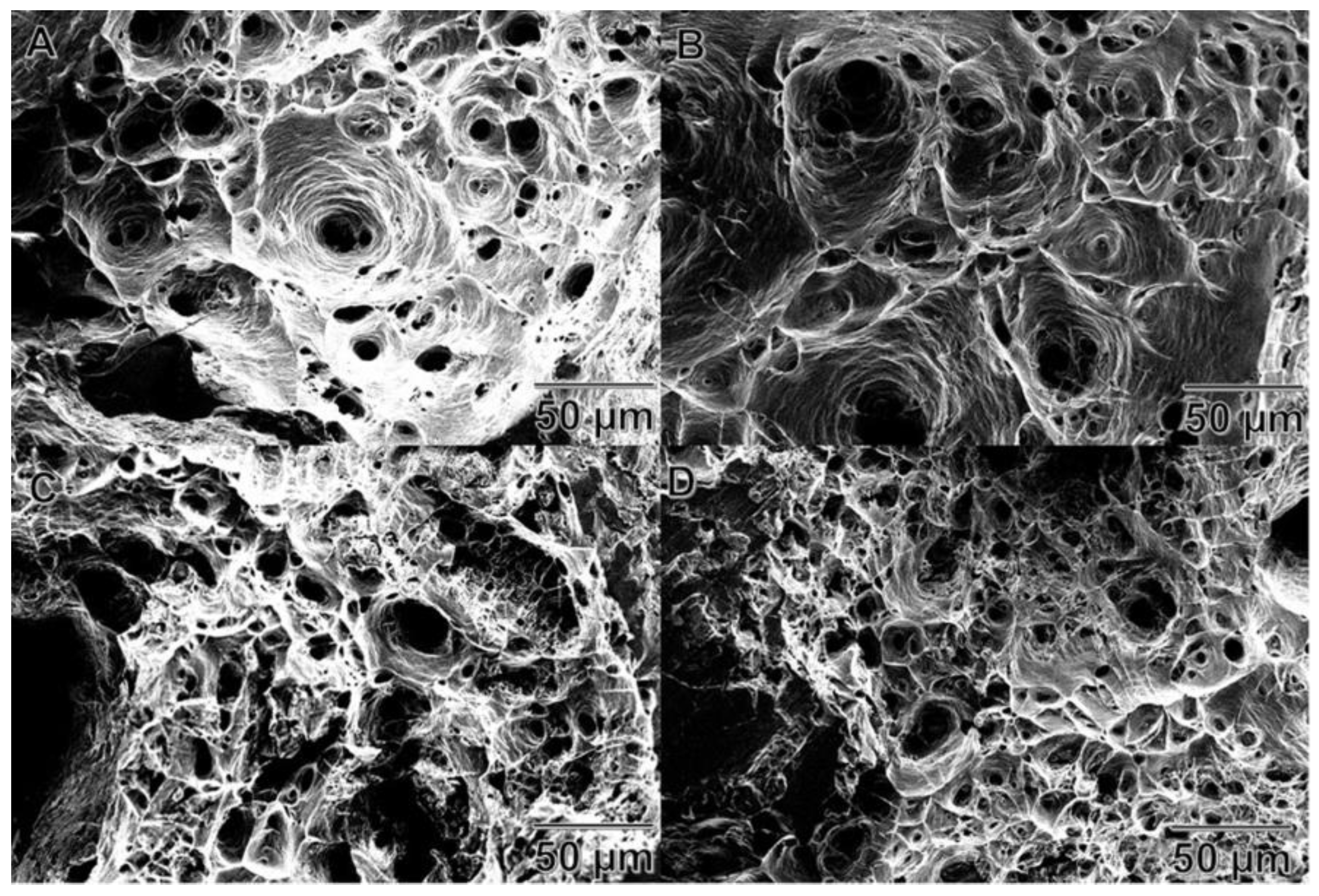 Materials 11 00413 g010