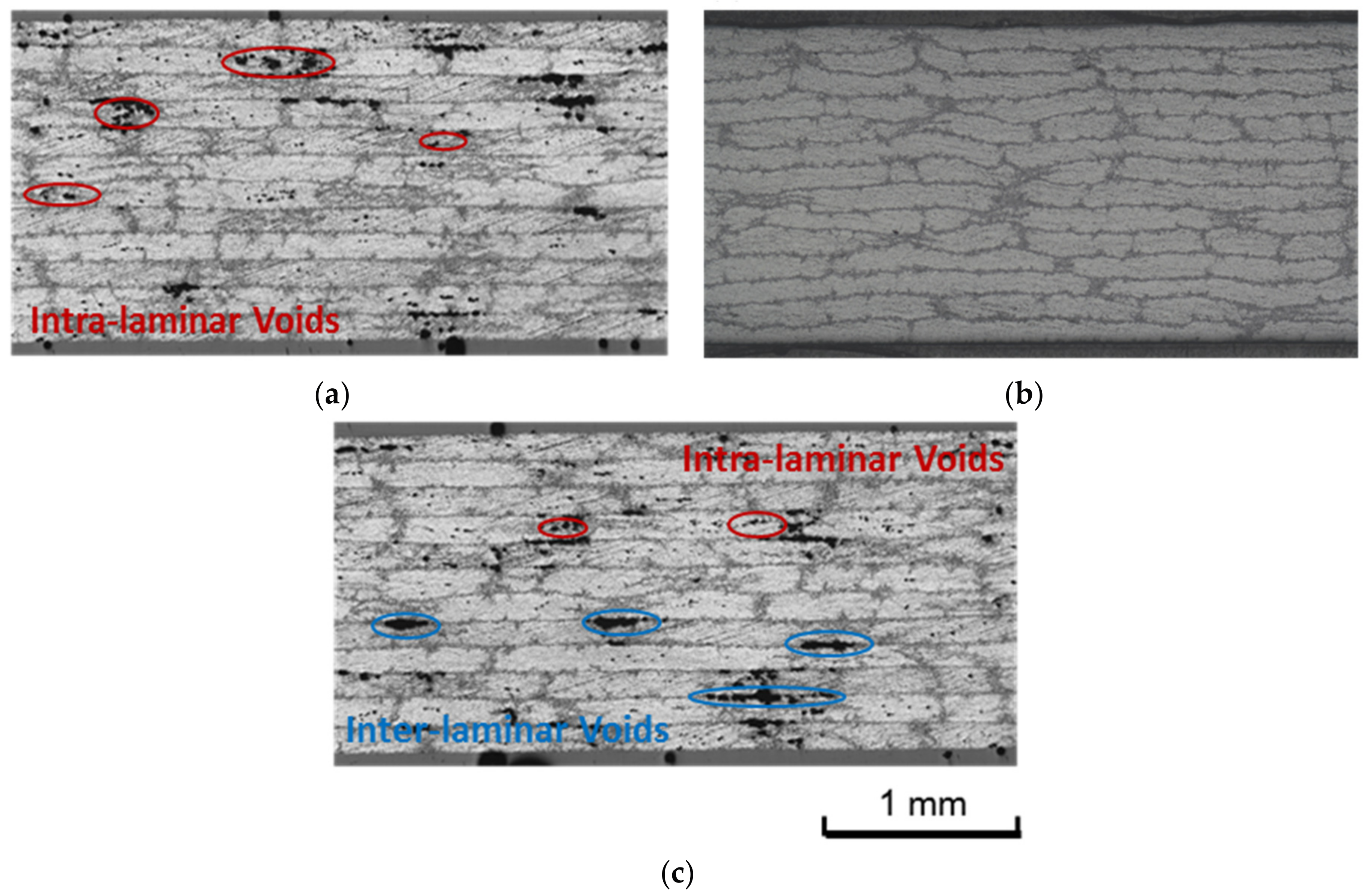 Materials 11 00421 g006