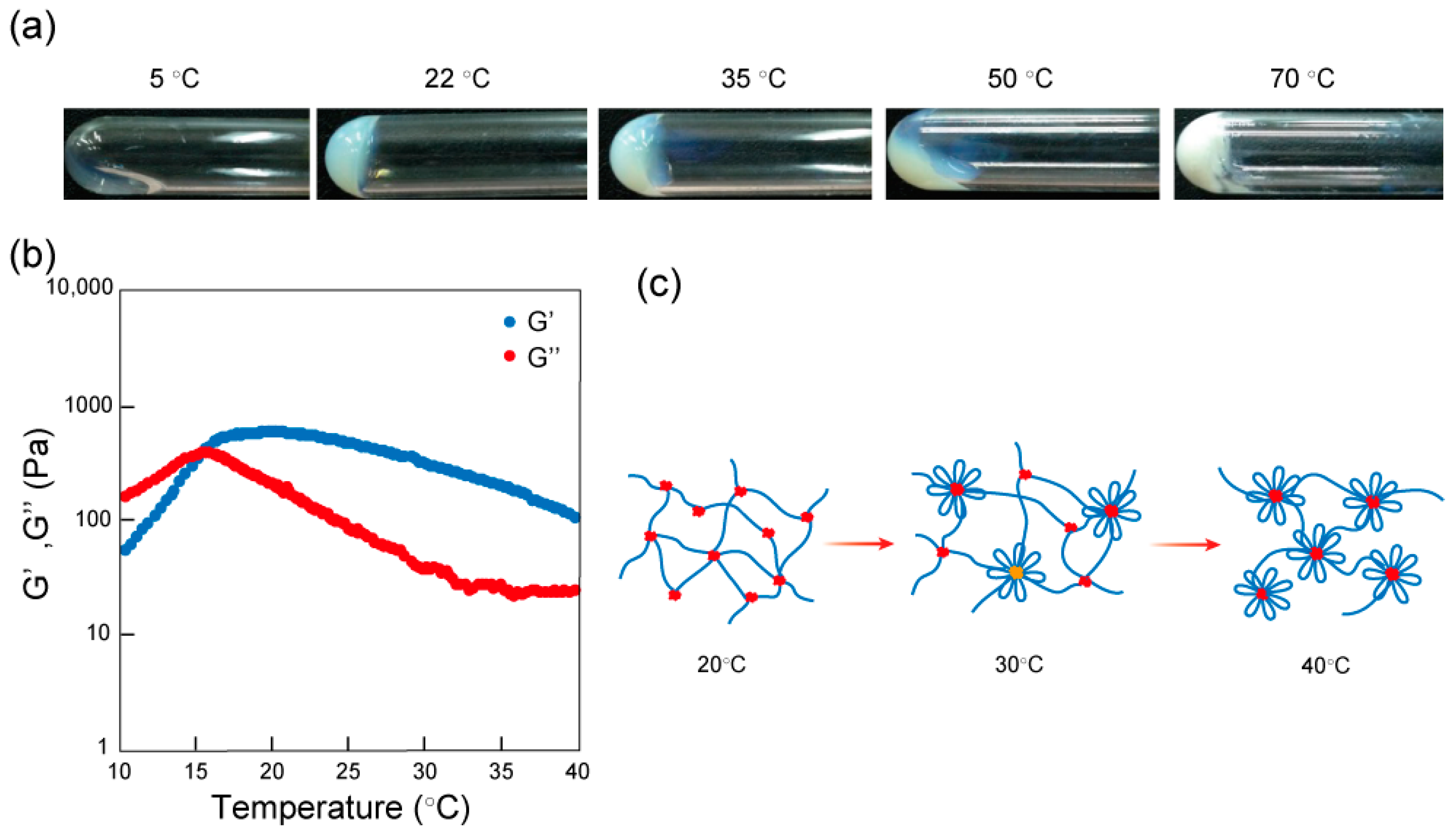 Materials 11 00424 g004