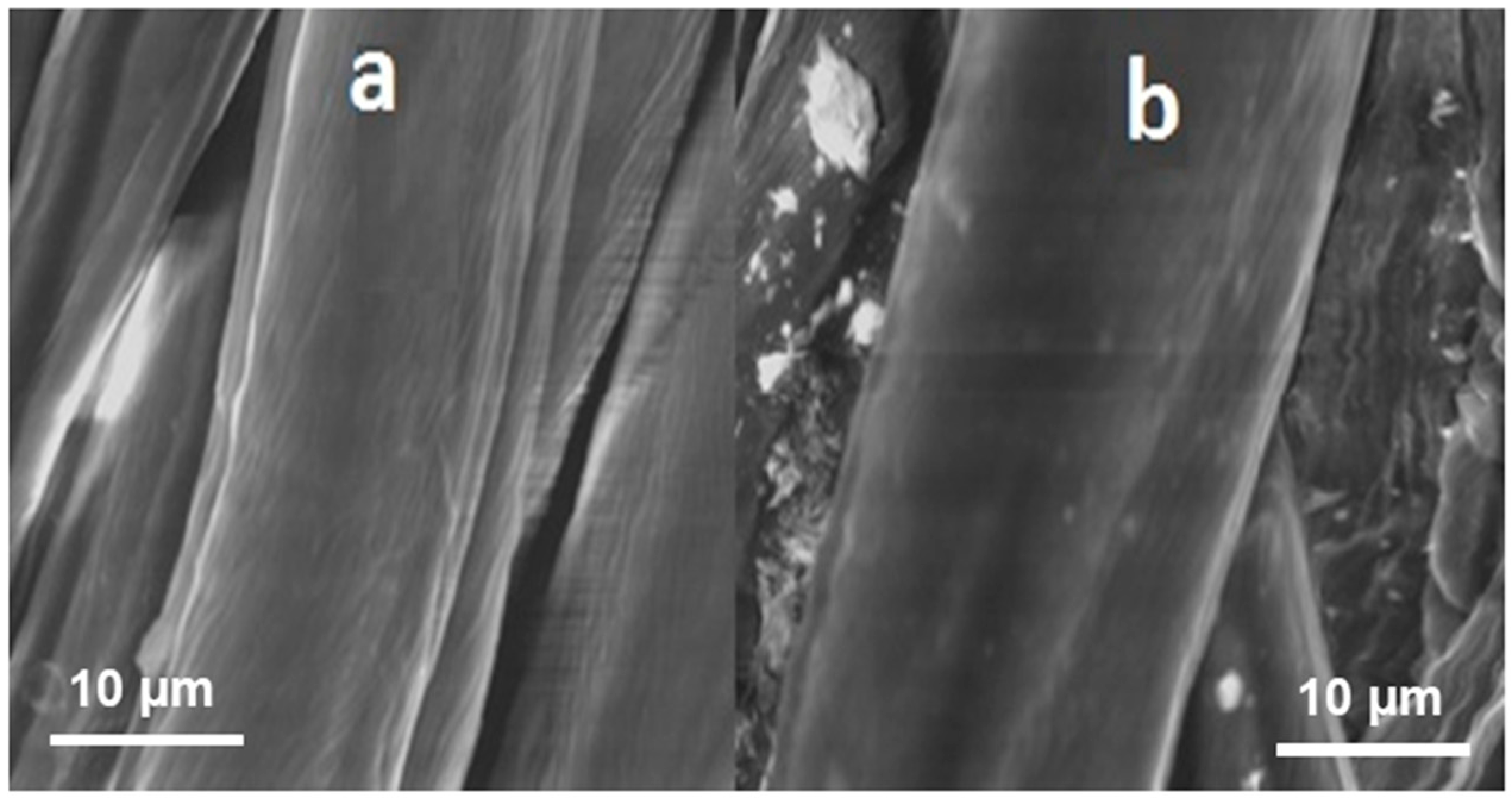 Materials 11 00426 g010