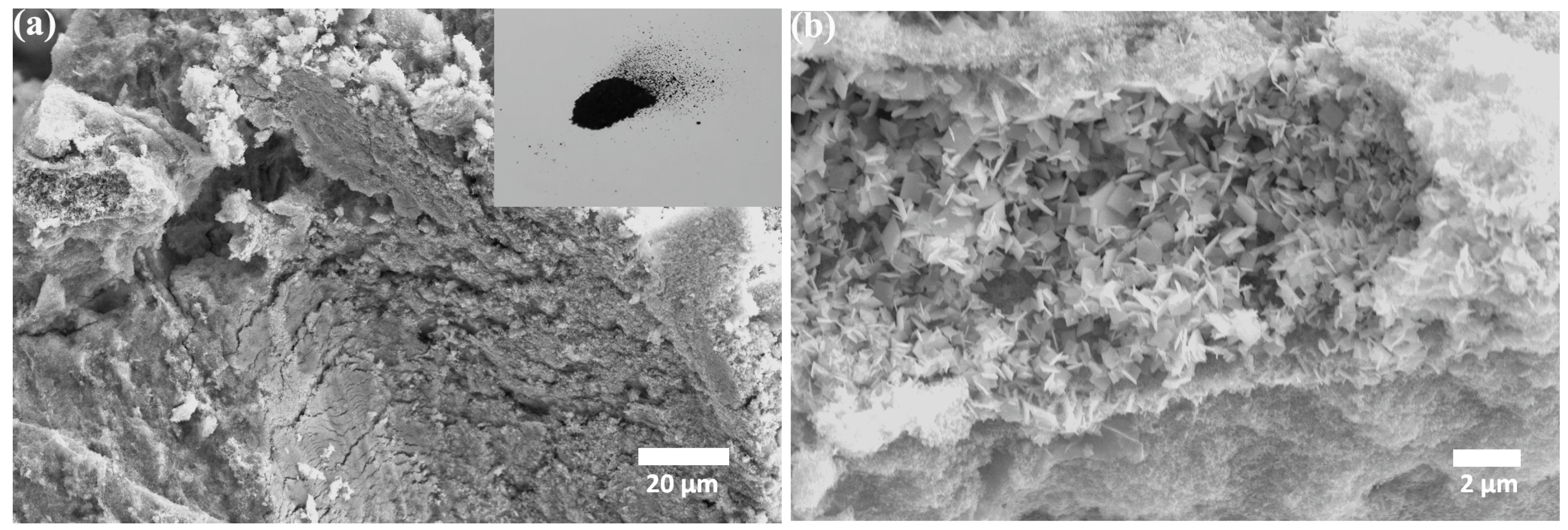 Materials 11 00447 g002