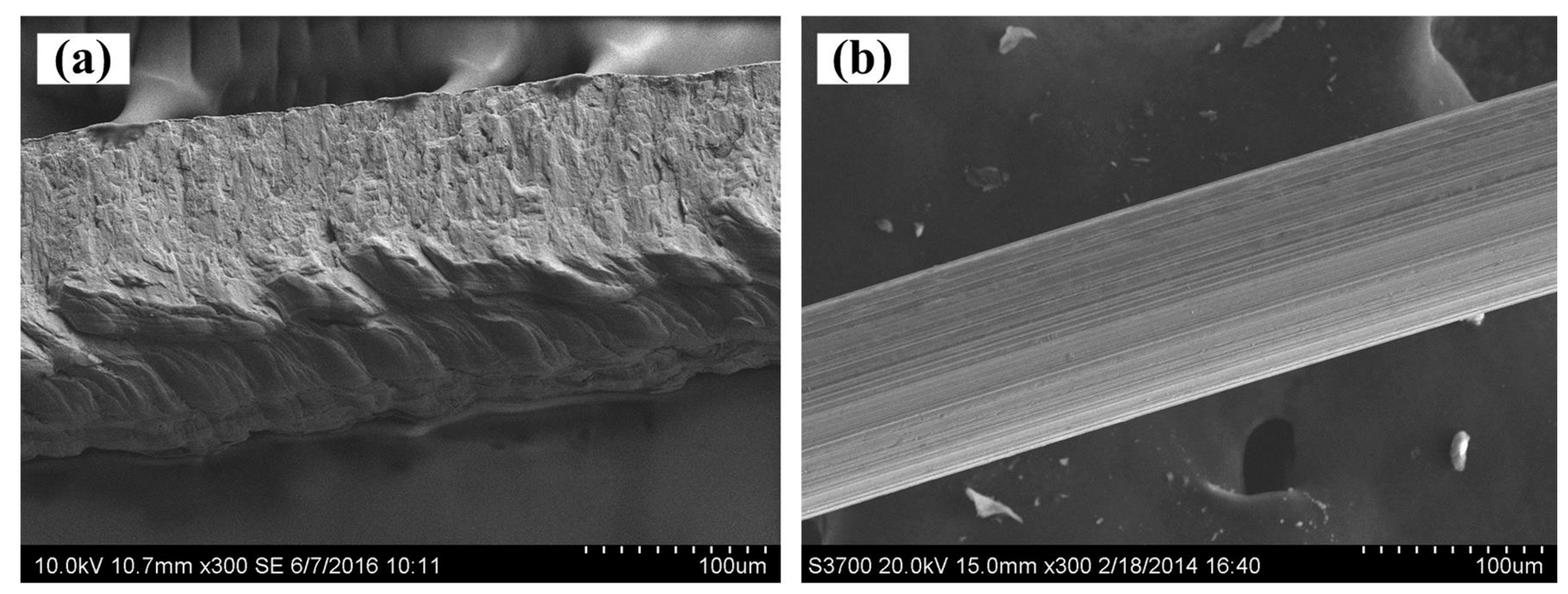 Materials 11 00455 g005