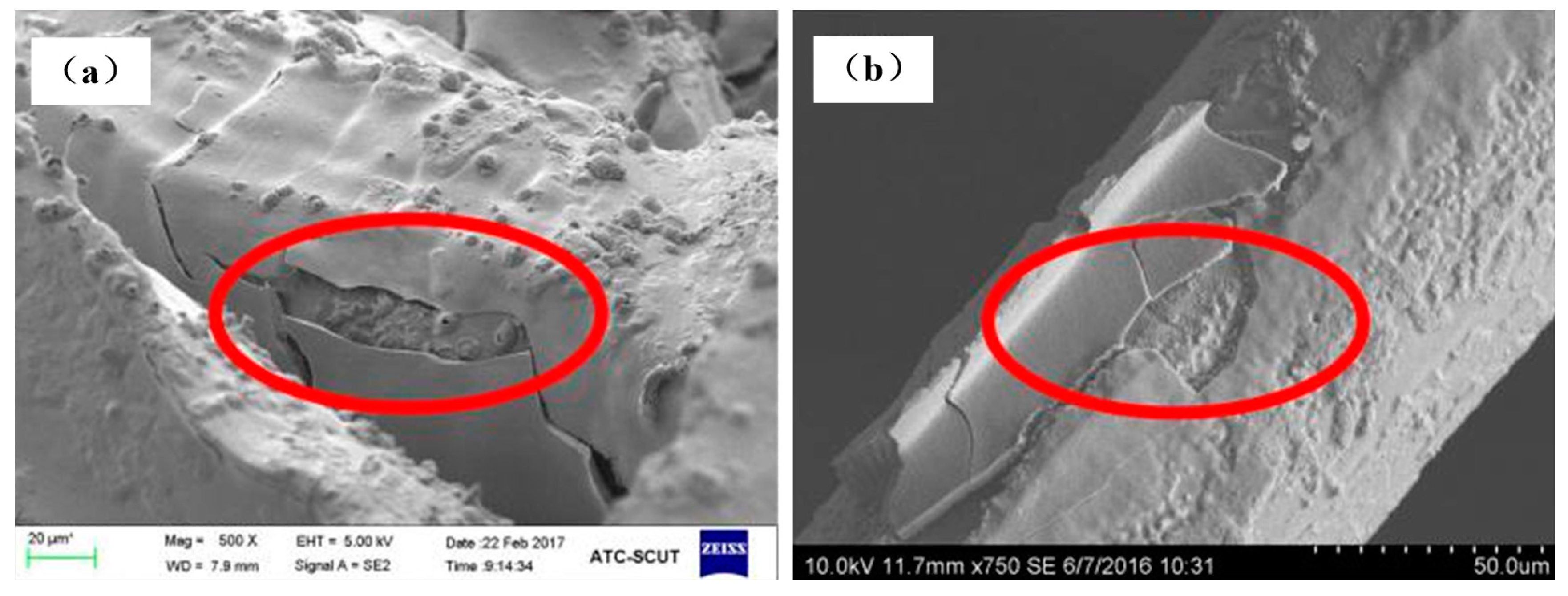 Materials 11 00455 g008