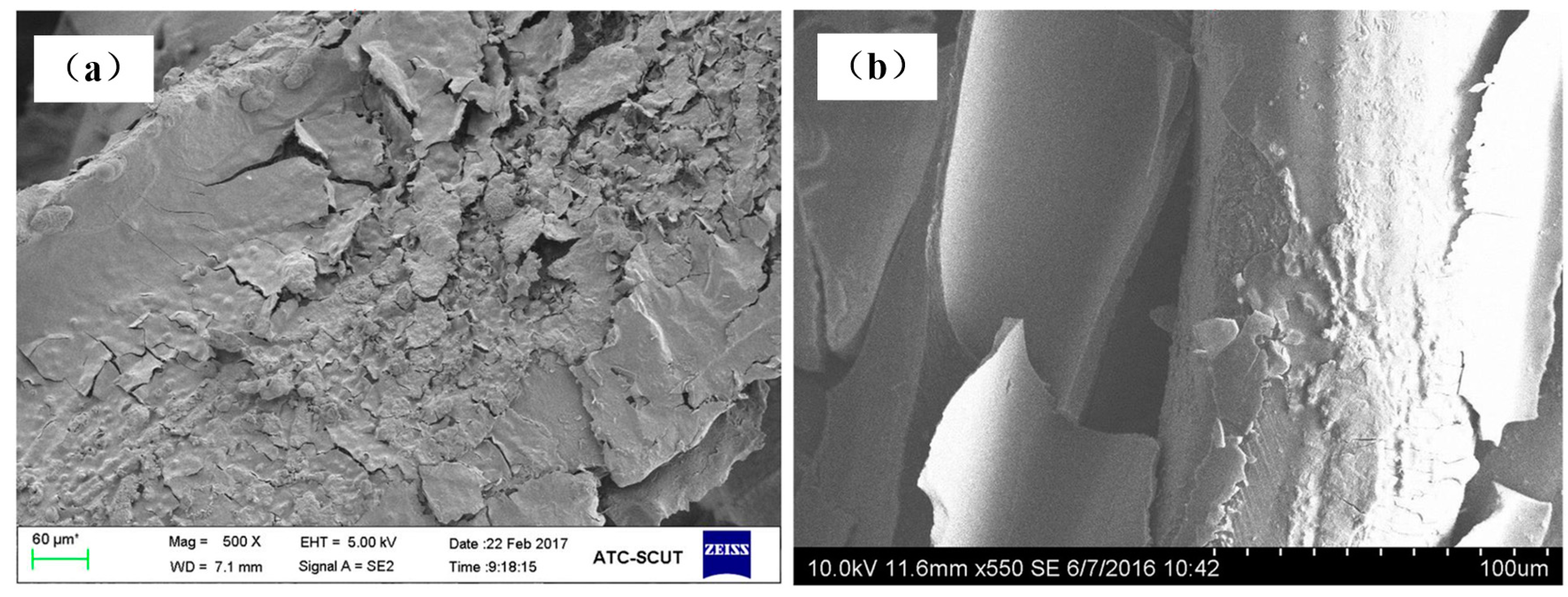 Materials 11 00455 g009