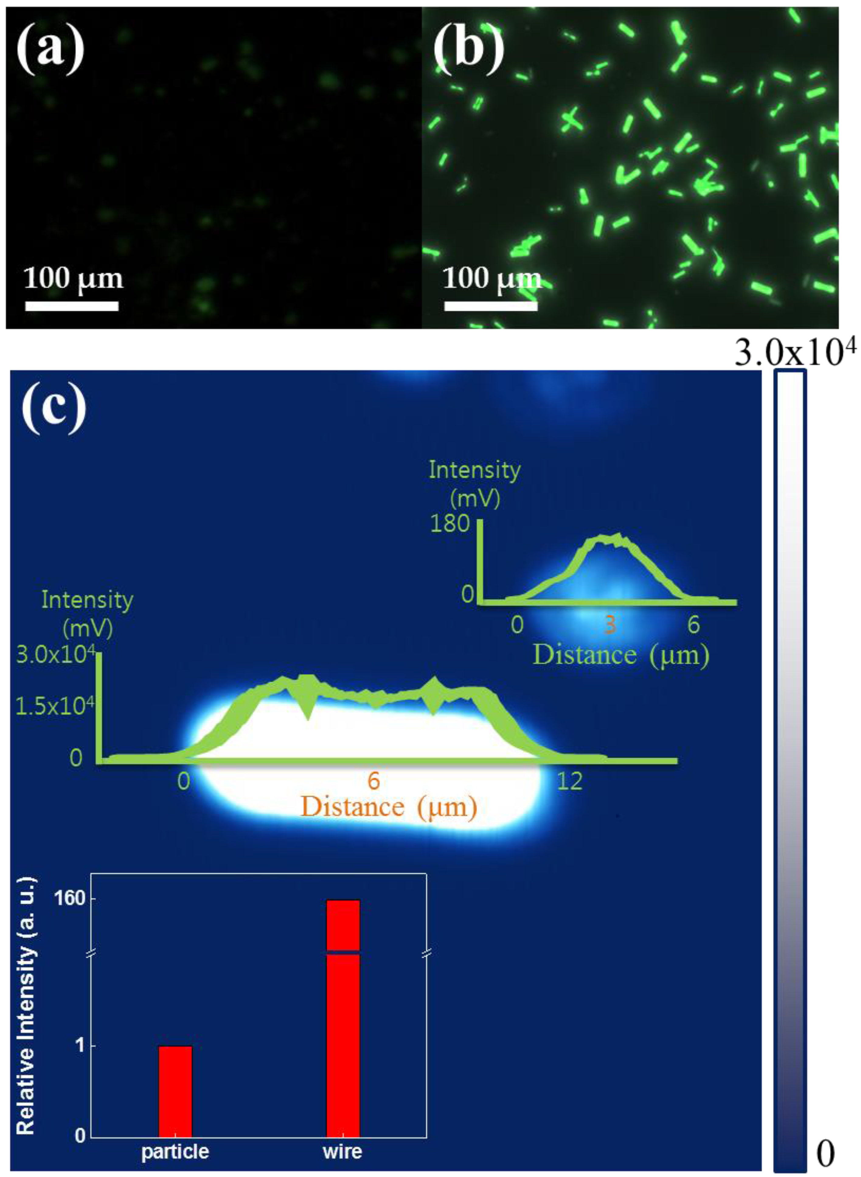 Materials 11 00472 g003