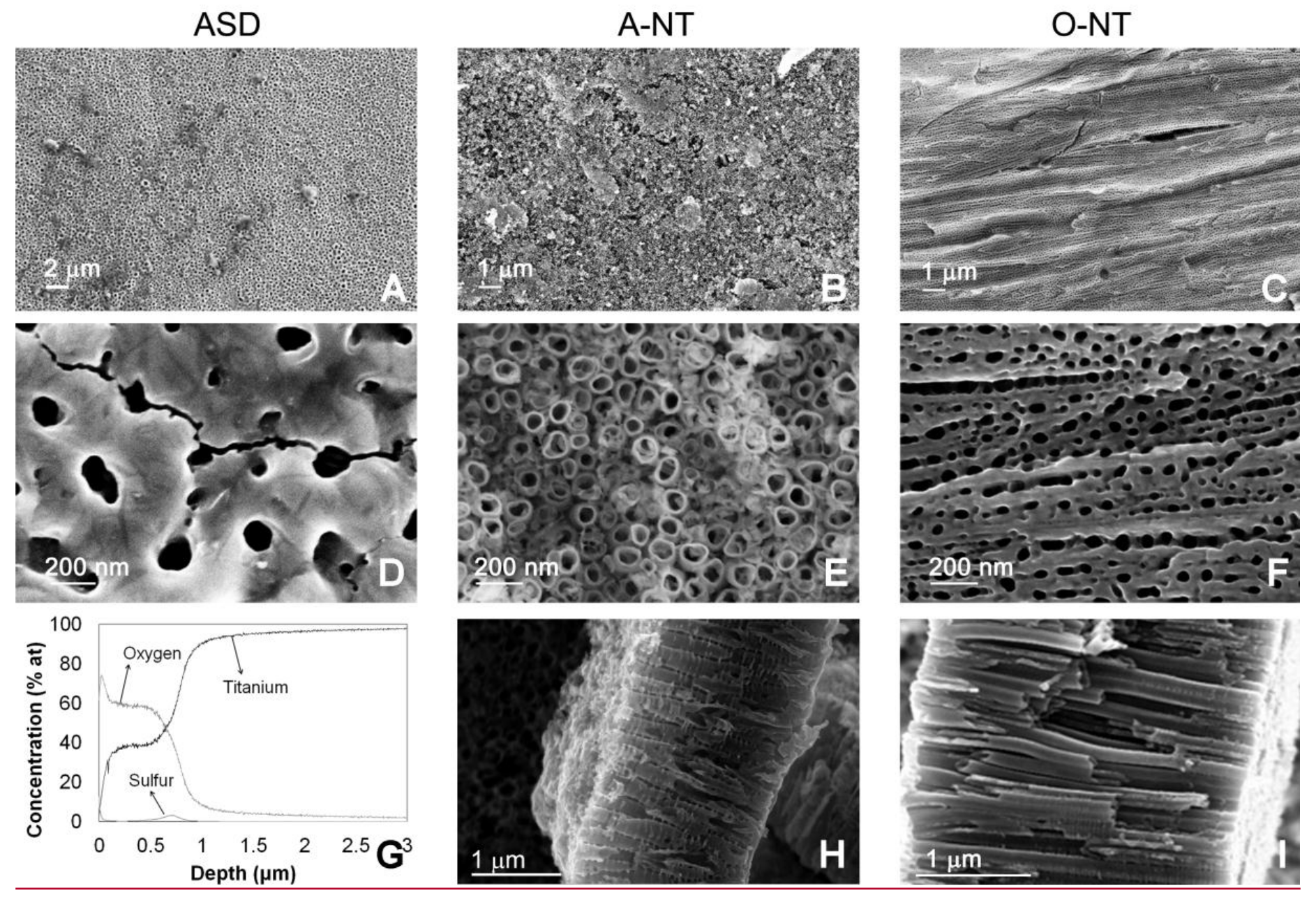 Materials 11 00488 g001