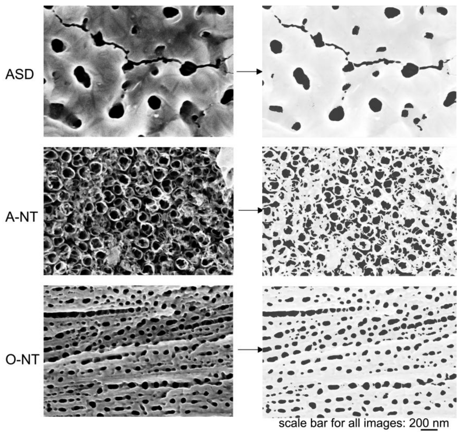 Materials 11 00488 g005