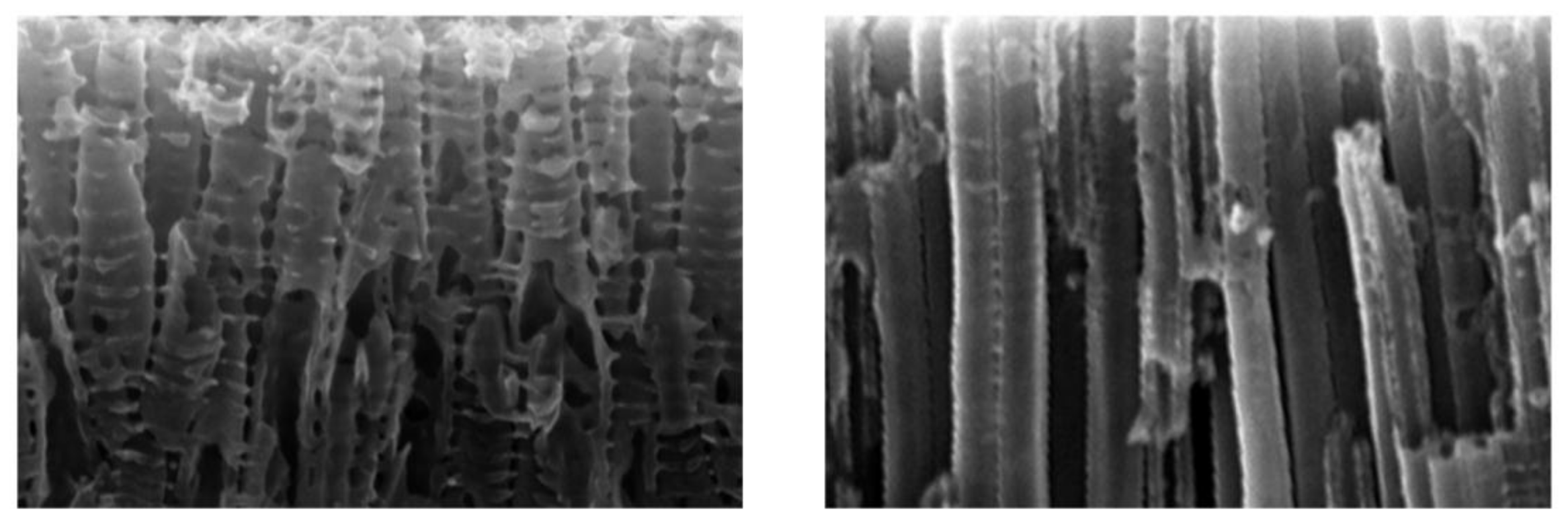 Materials 11 00488 g007