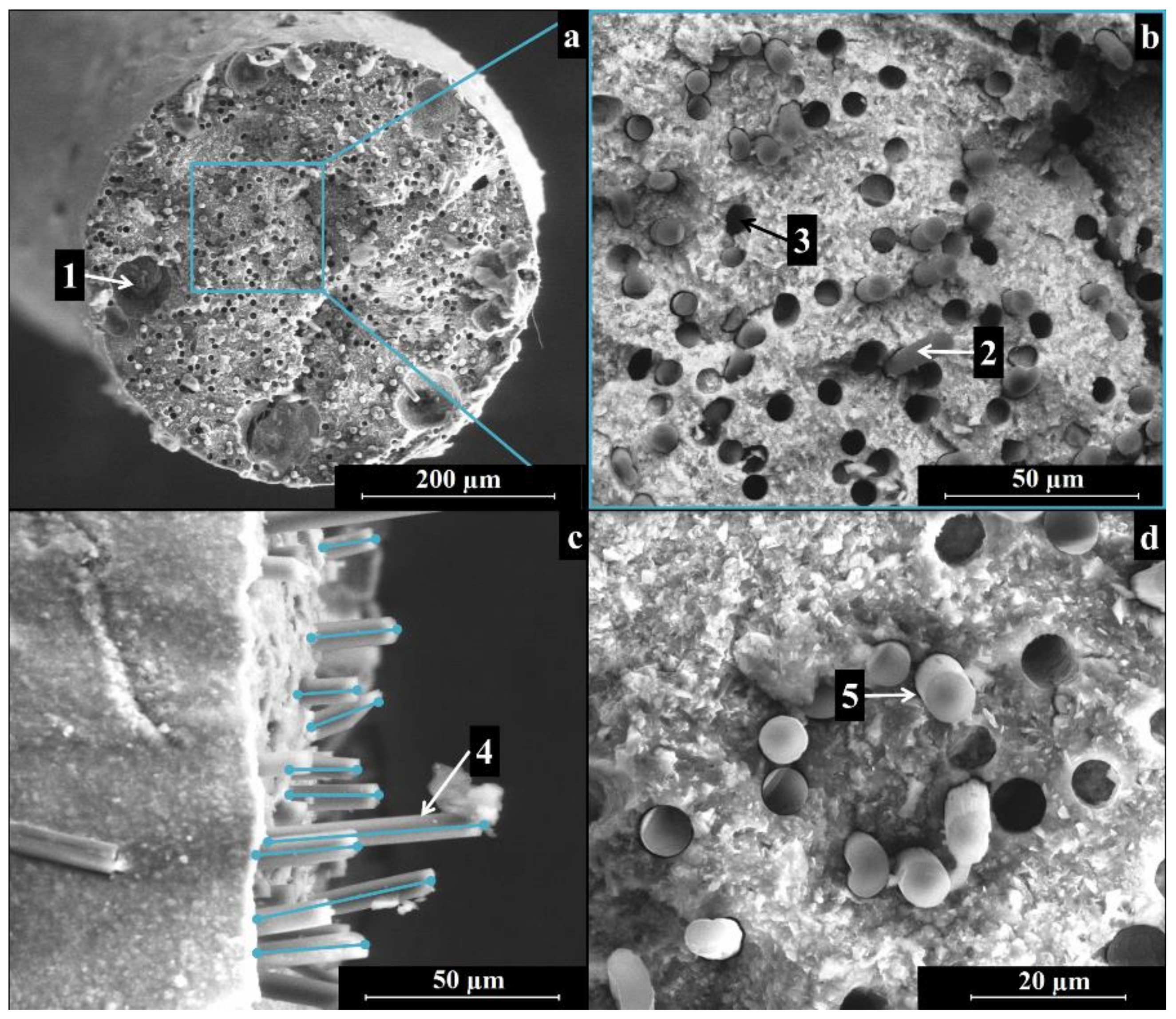 Materials 11 00515 g006