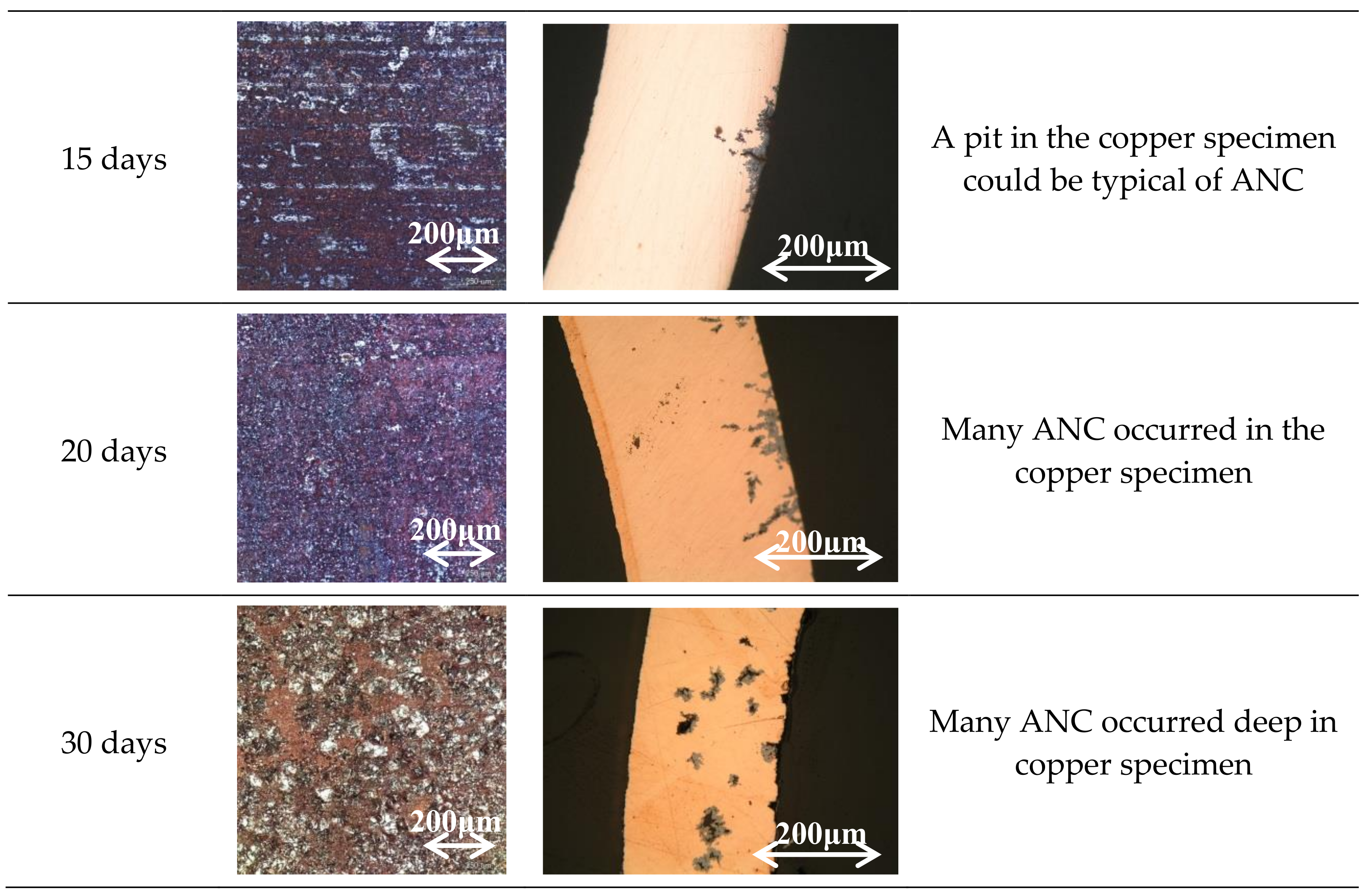 Materials 11 00533 g001b