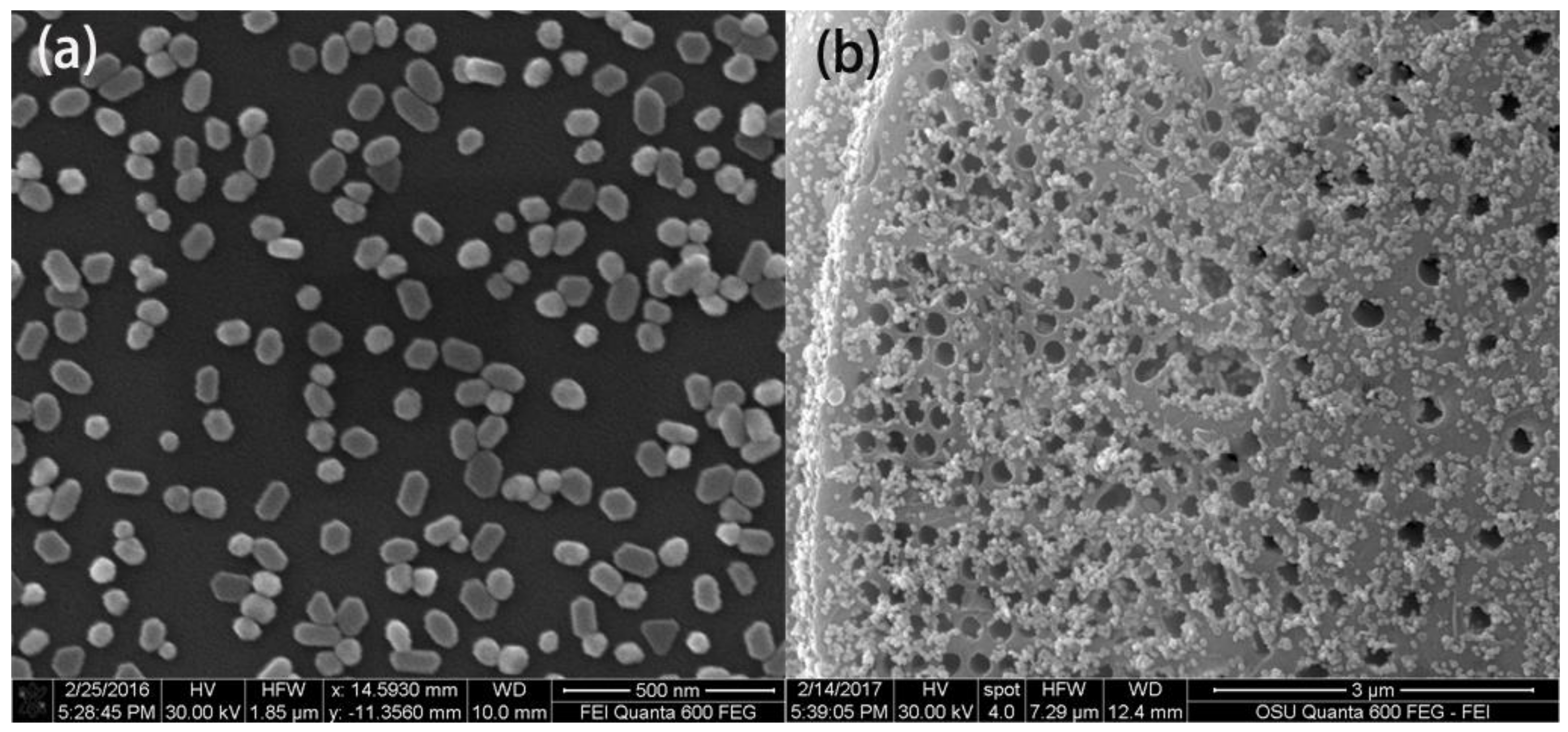 Materials 11 00539 g002