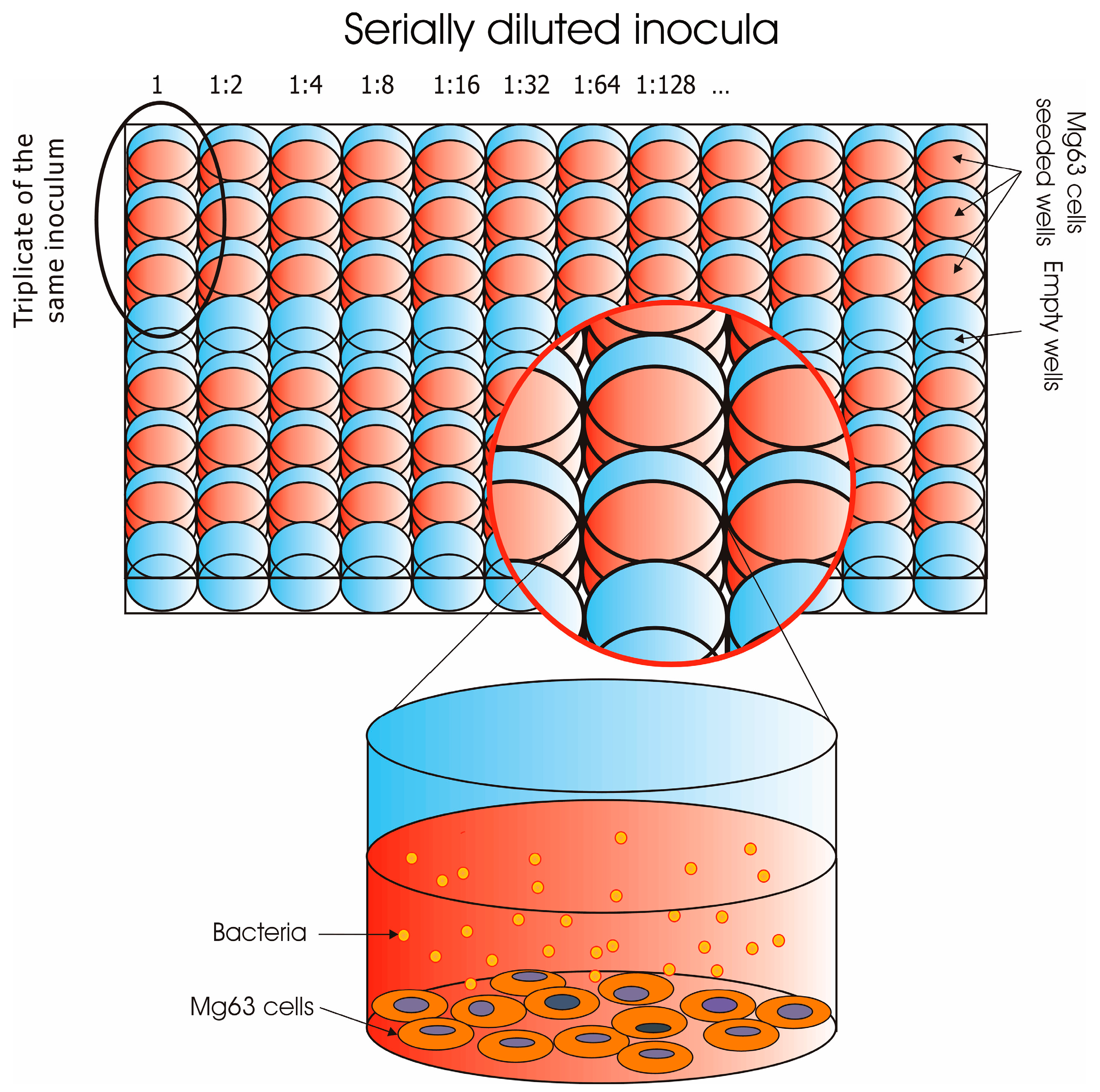 Materials 11 00550 g001
