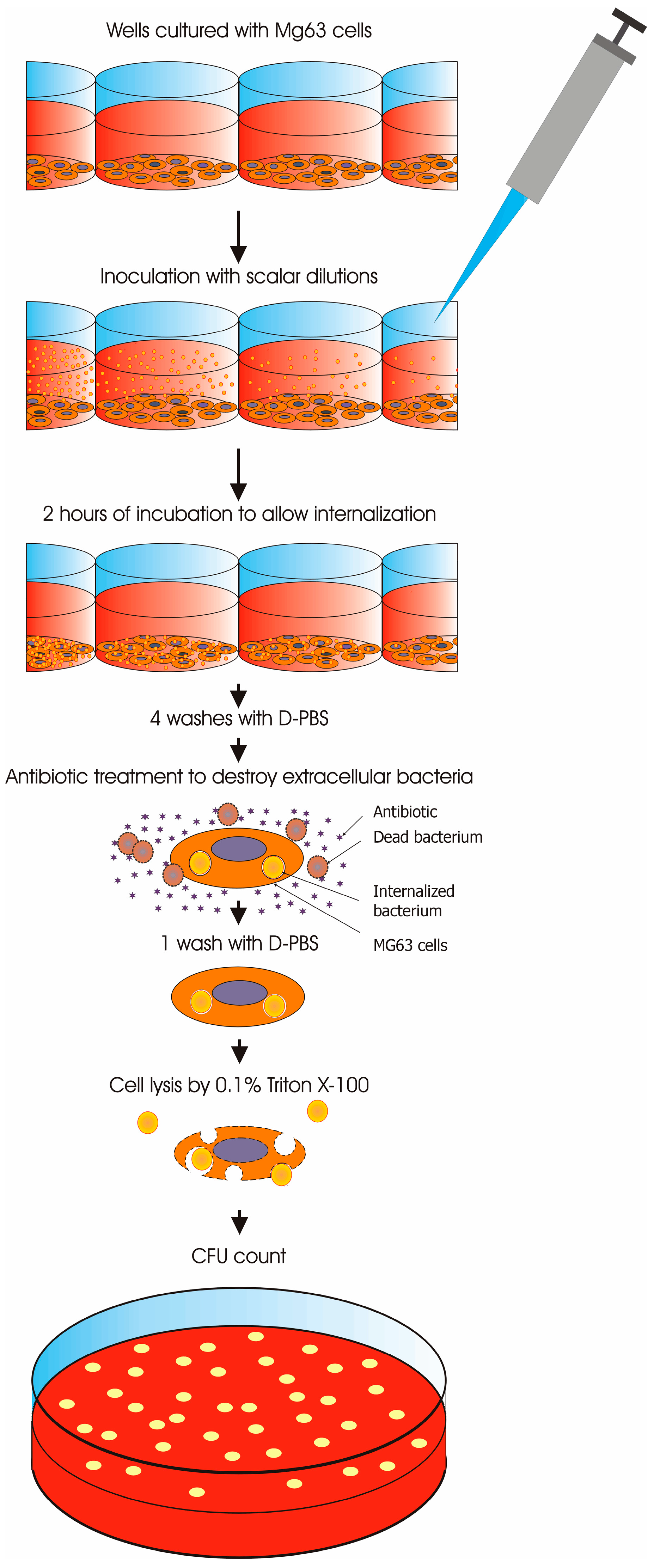 Materials 11 00550 g002