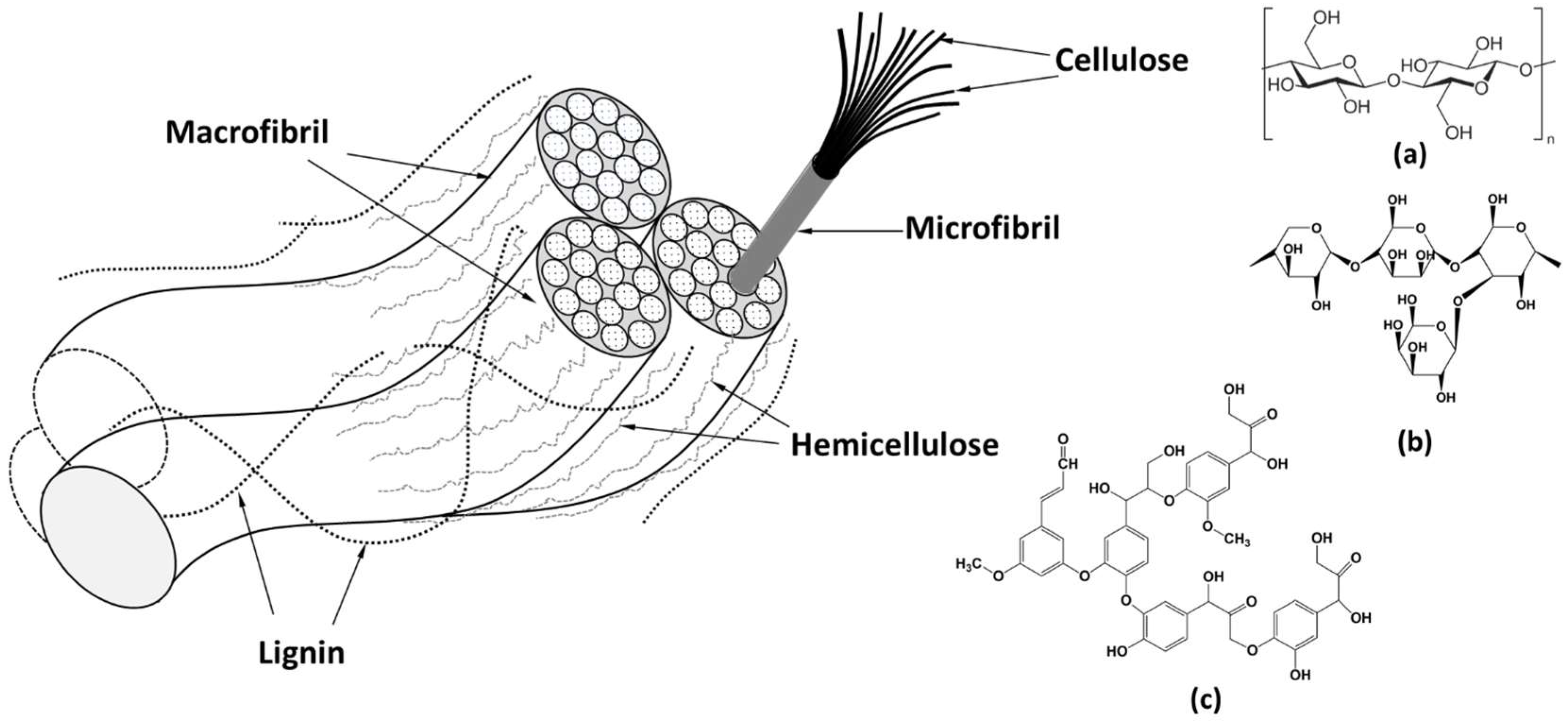 Materials 11 00553 g003 Materials 11 00553 g003