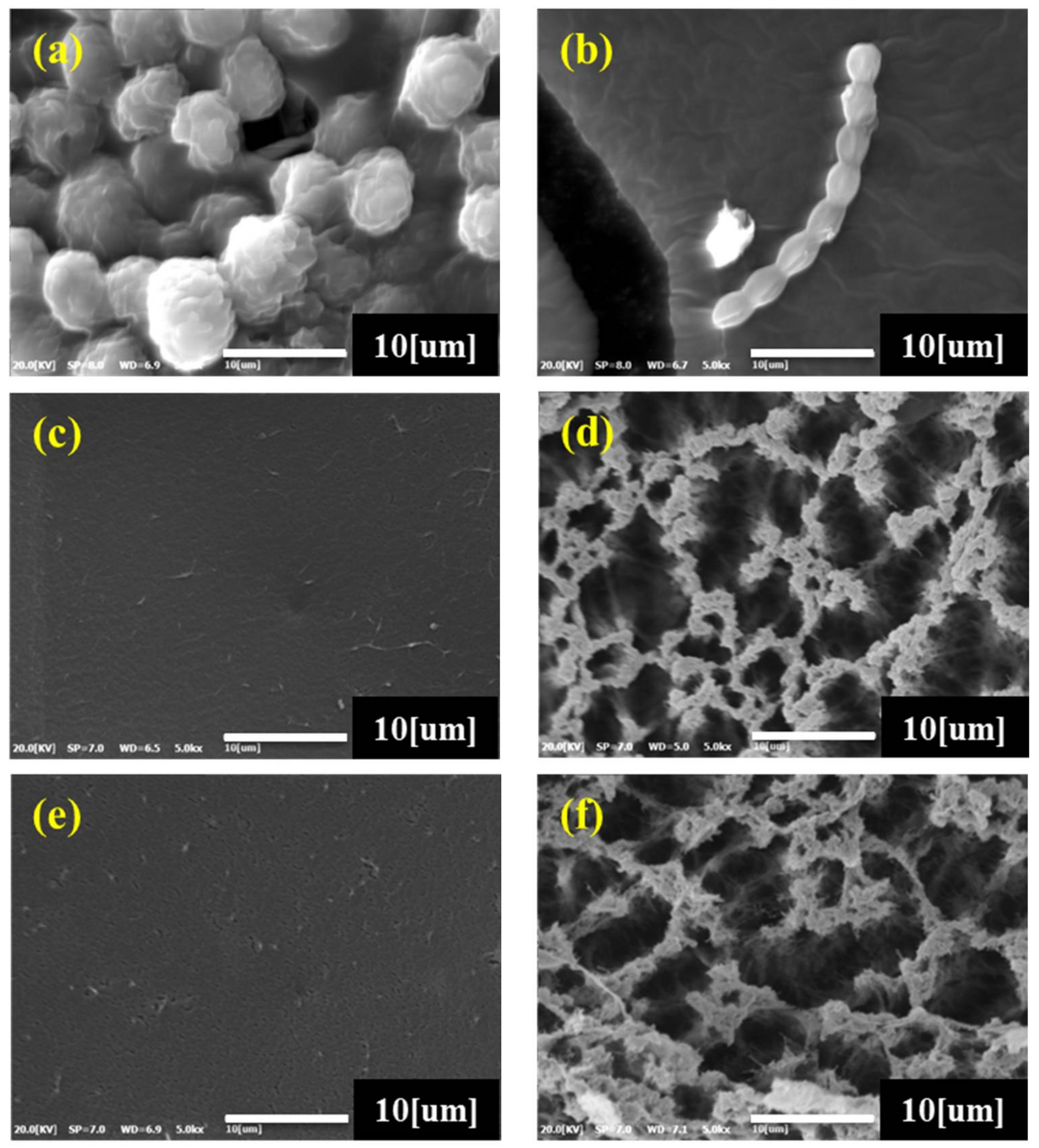 Materials 11 00562 g003a