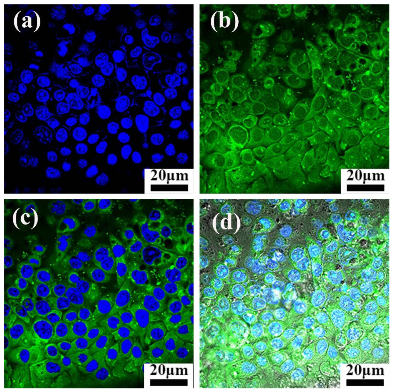 Materials 11 00596 g007