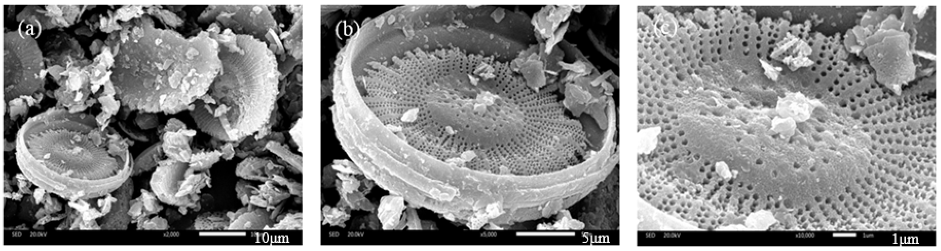 Materials 11 00686 g007