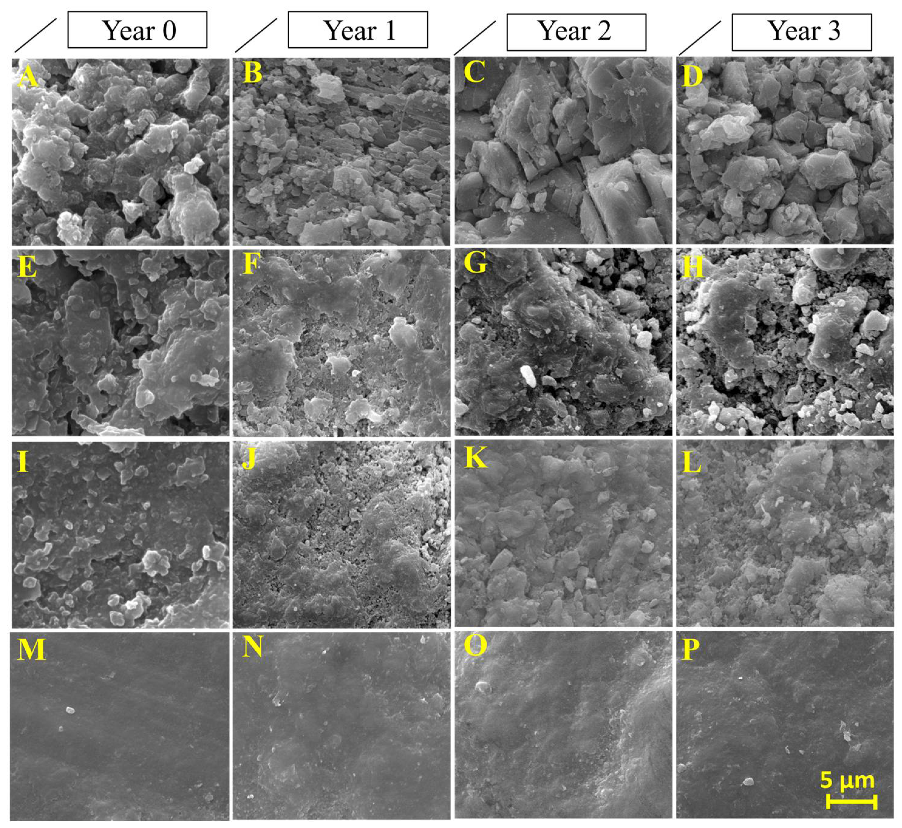 Materials 11 00694 g006