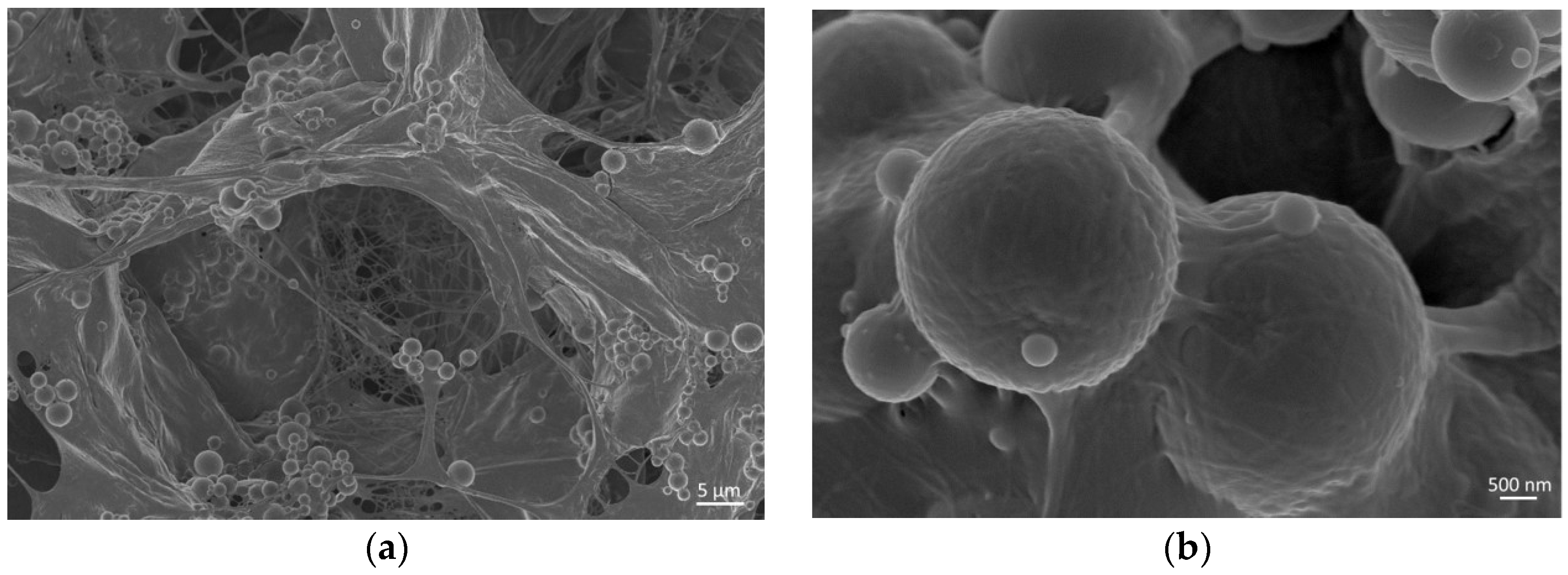 Materials 11 00700 g001 Materials 11 00700 g001