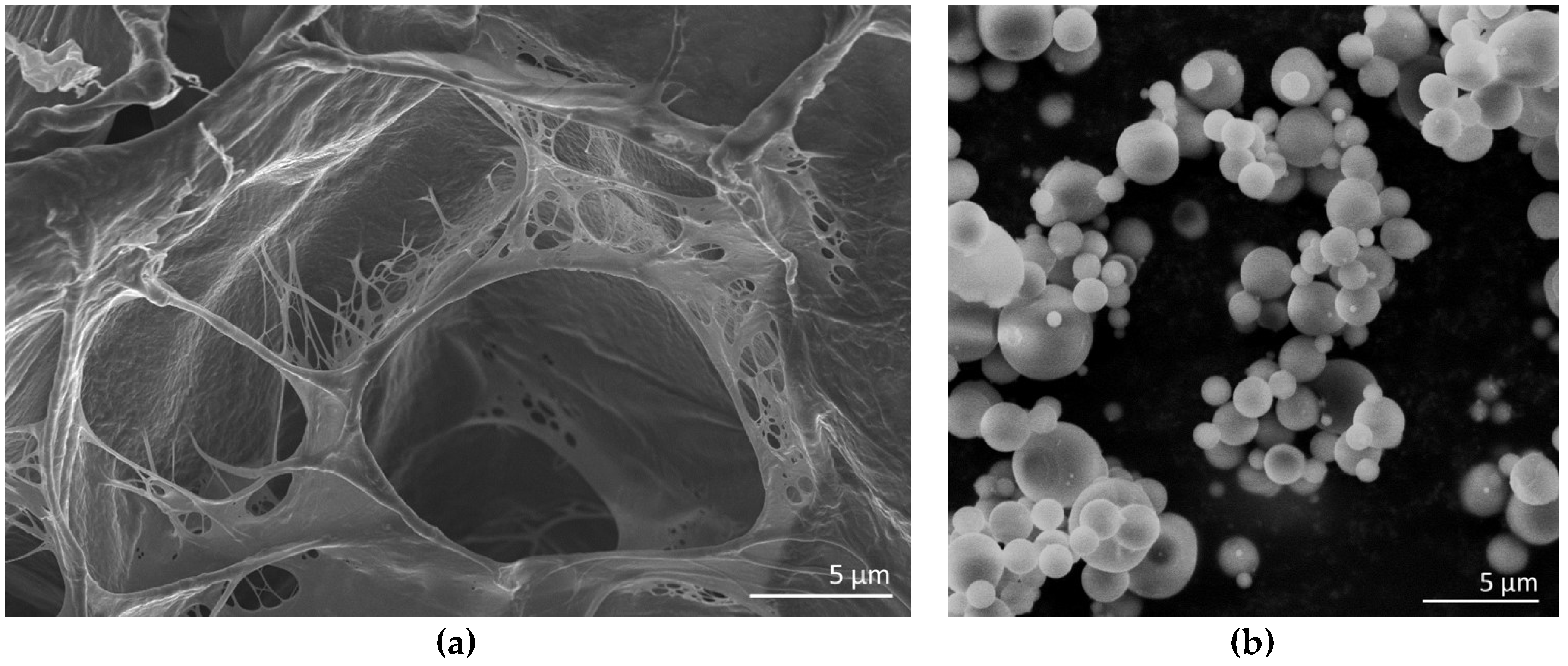 Materials 11 00700 g0a1 Materials 11 00700 g0a1