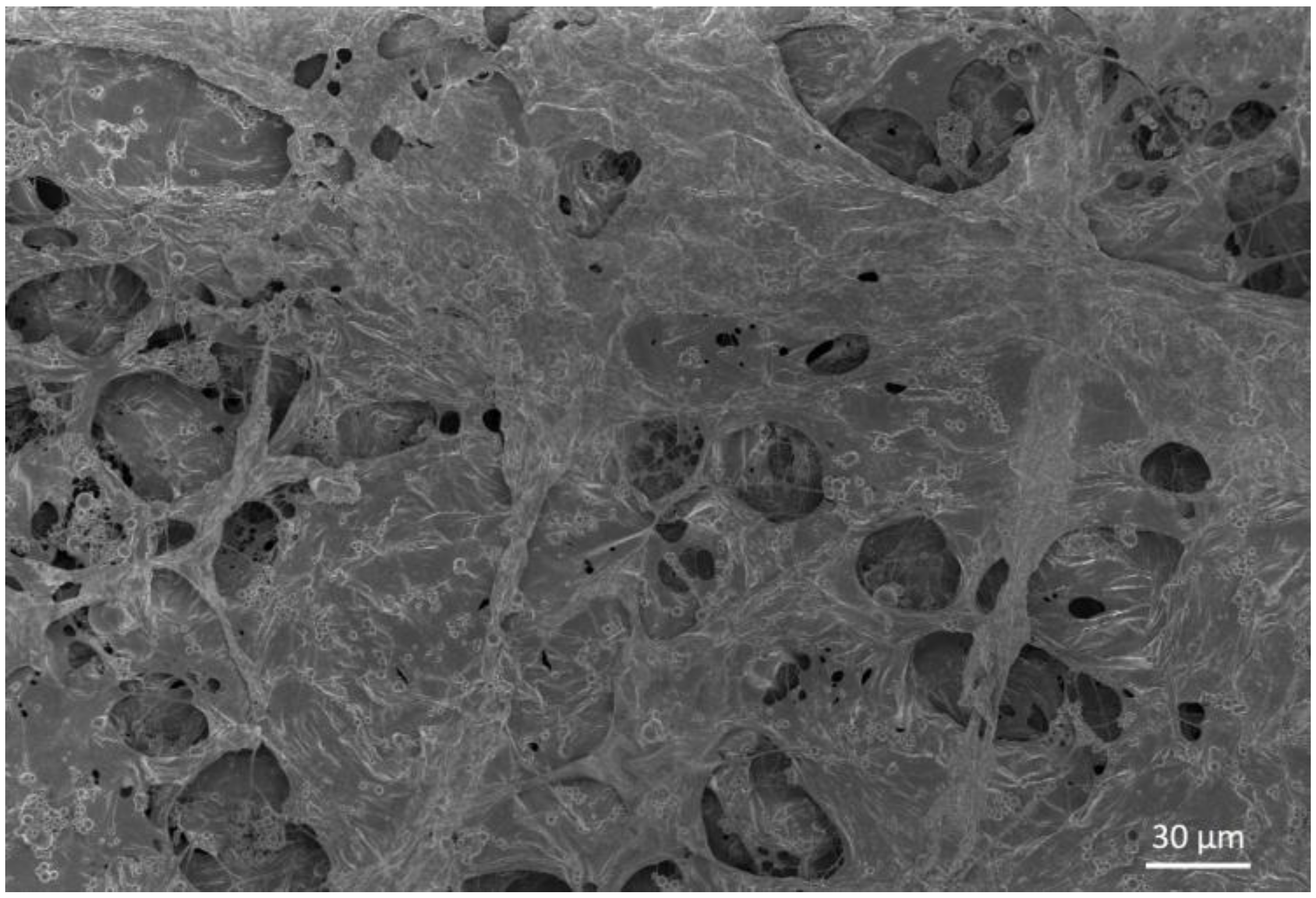 Materials 11 00700 g0a2 Materials 11 00700 g0a2