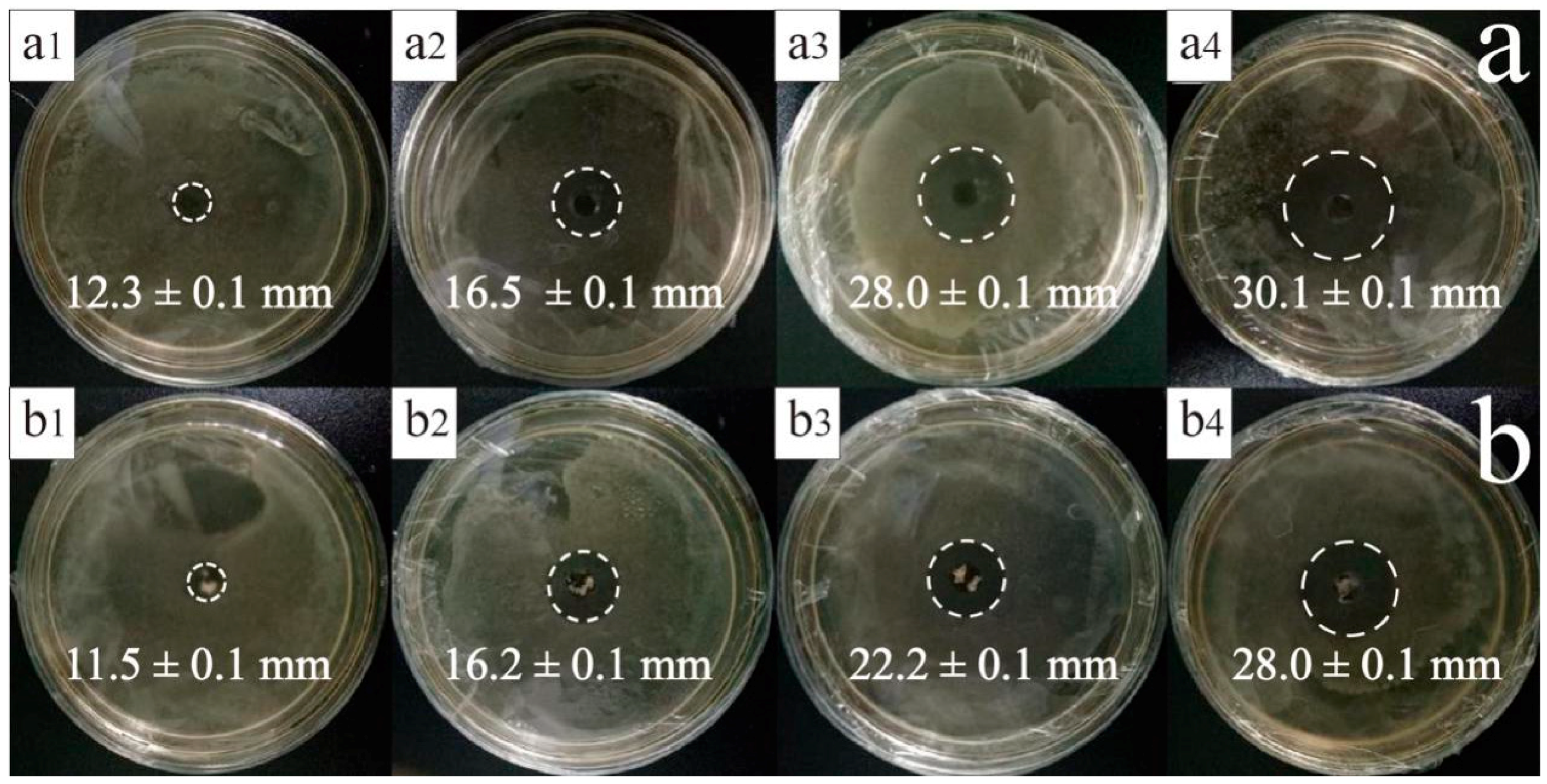 Materials 11 00710 g006a