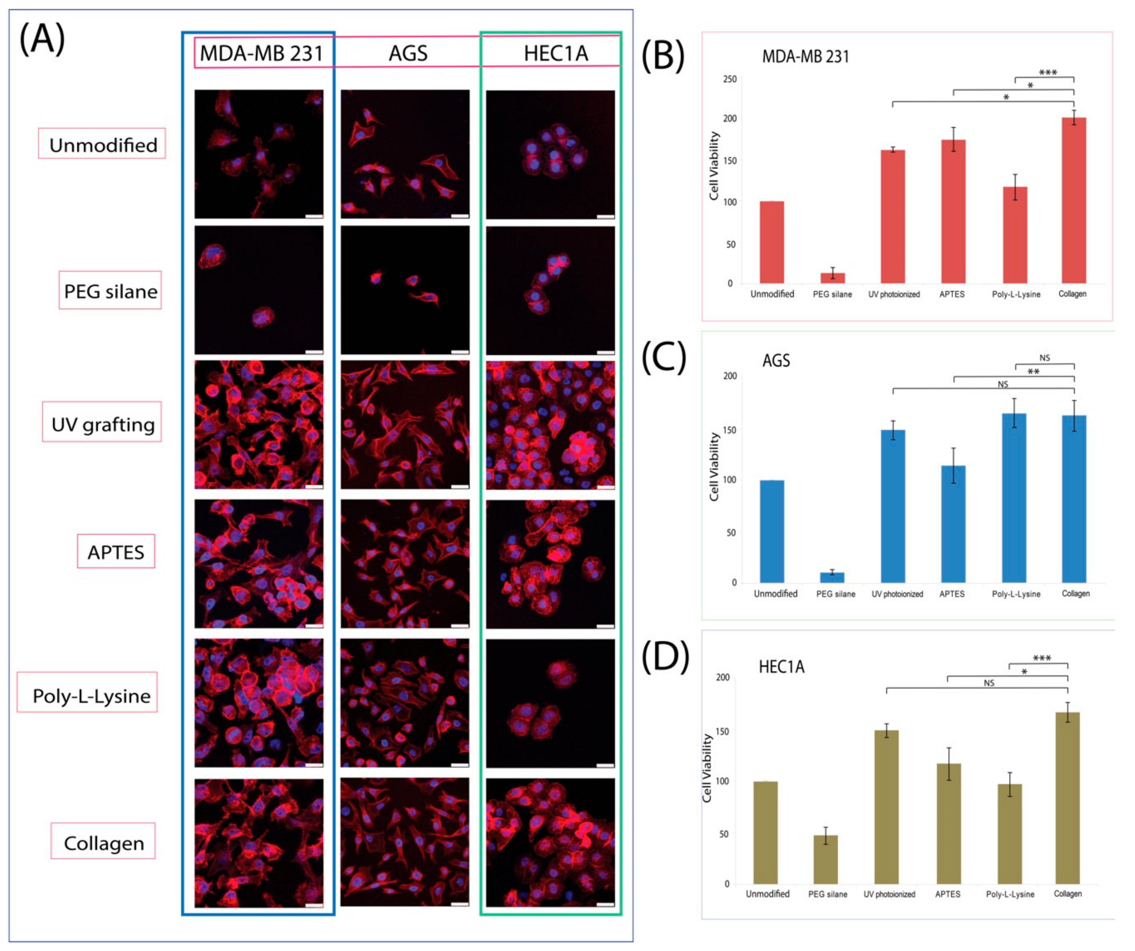 Materials 11 00713 g006