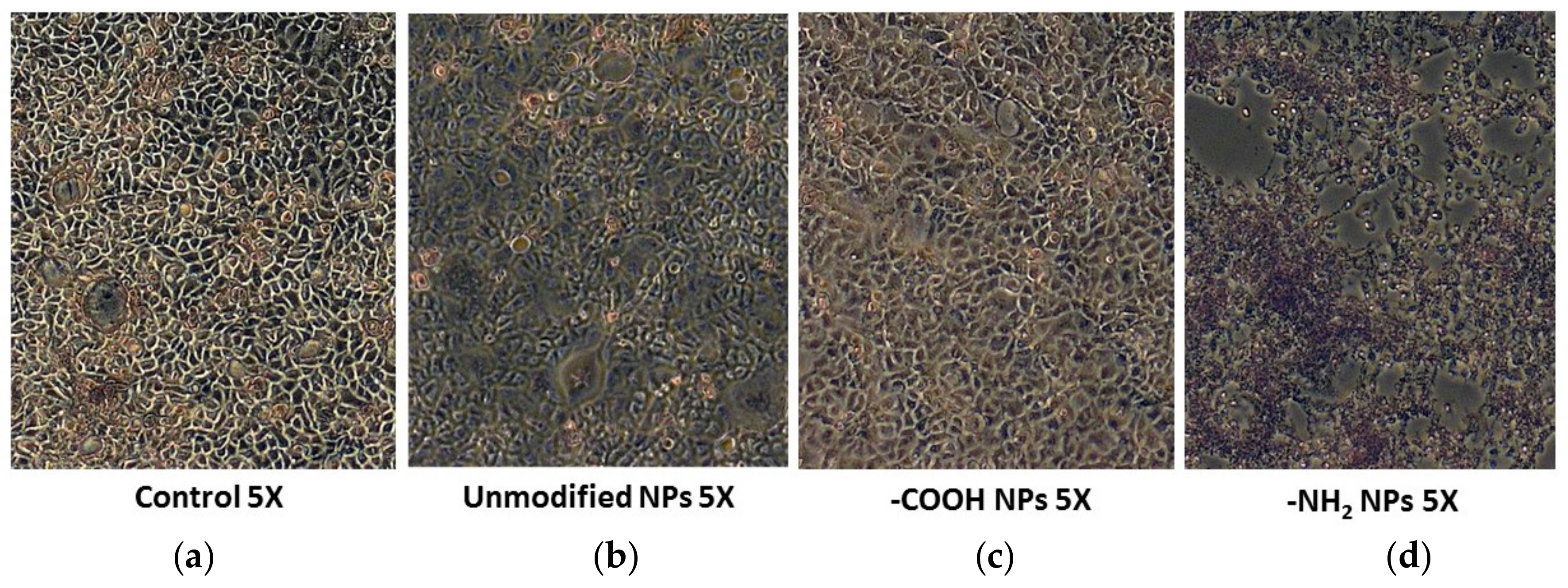 Materials 11 00724 g005