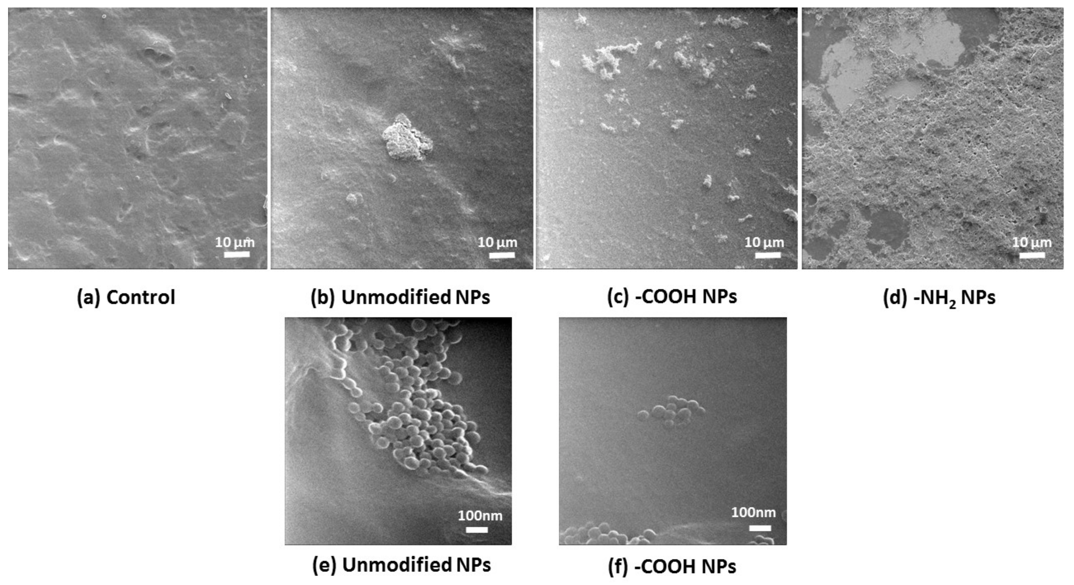 Materials 11 00724 g006