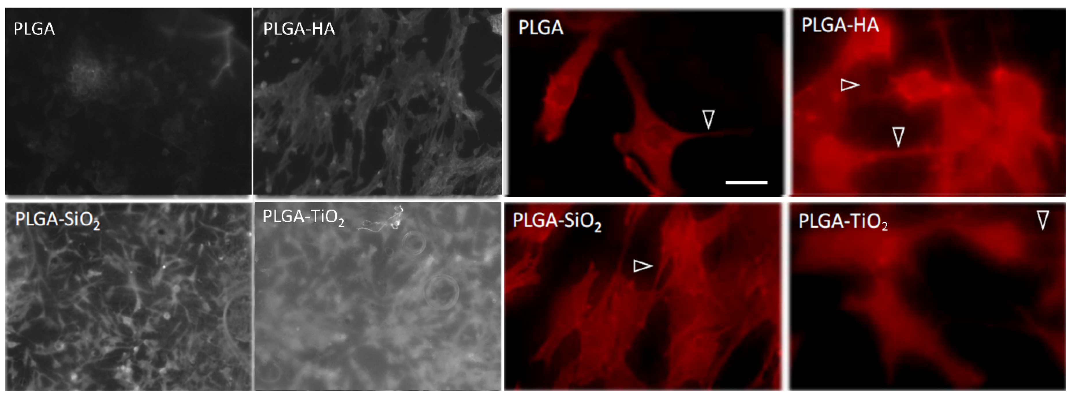 Materials 11 00752 g001