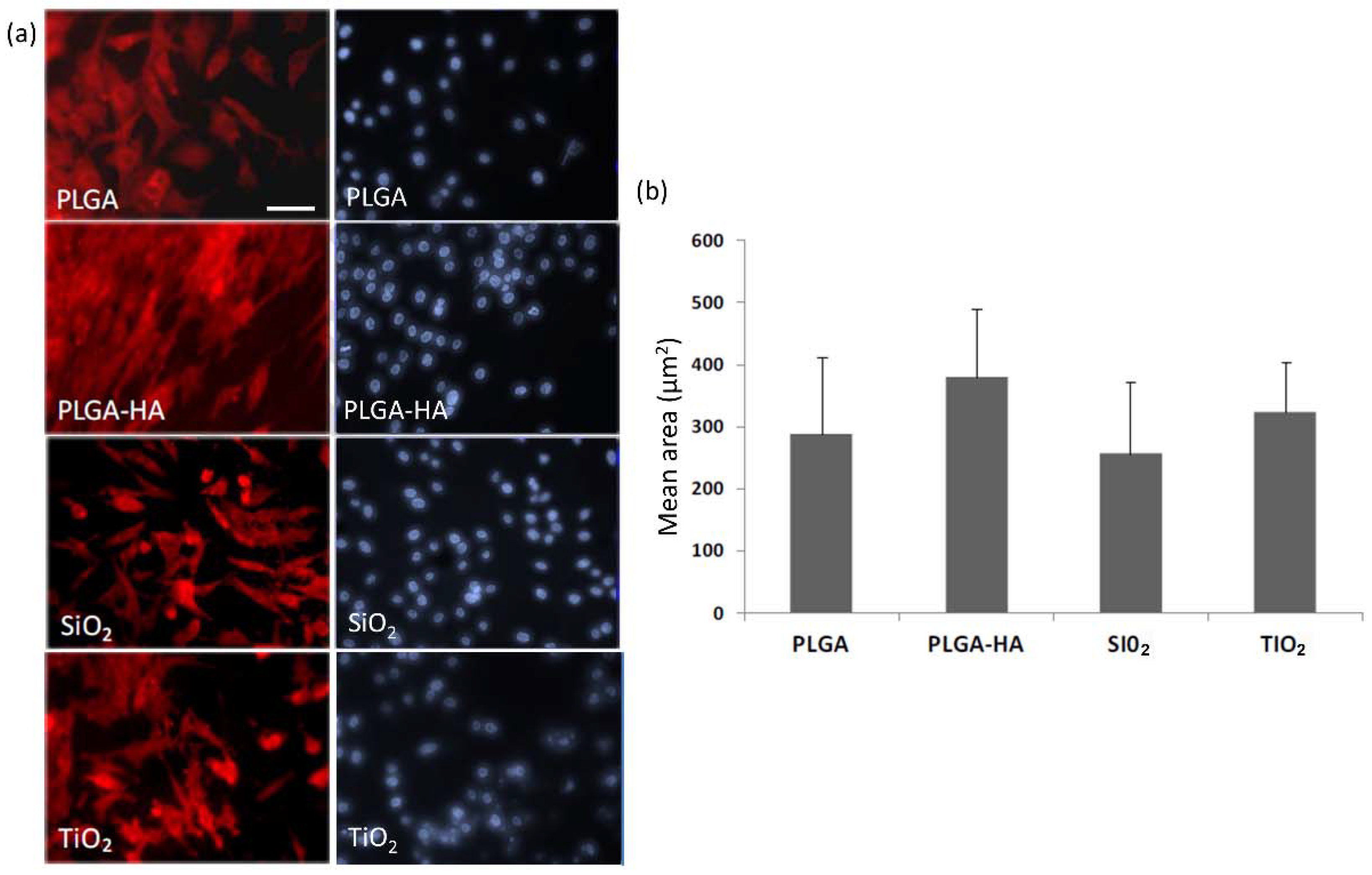 Materials 11 00752 g004
