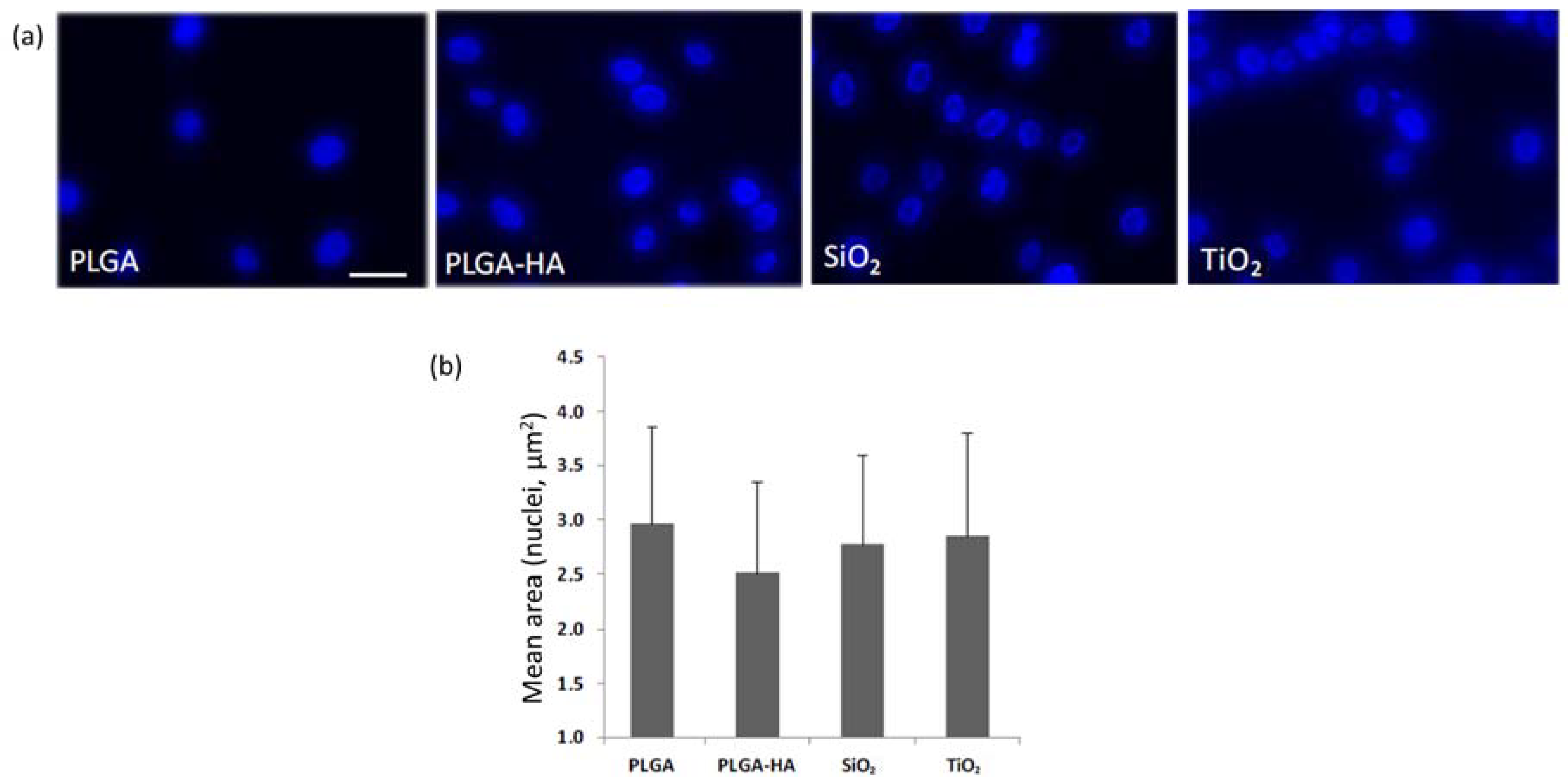 Materials 11 00752 g005