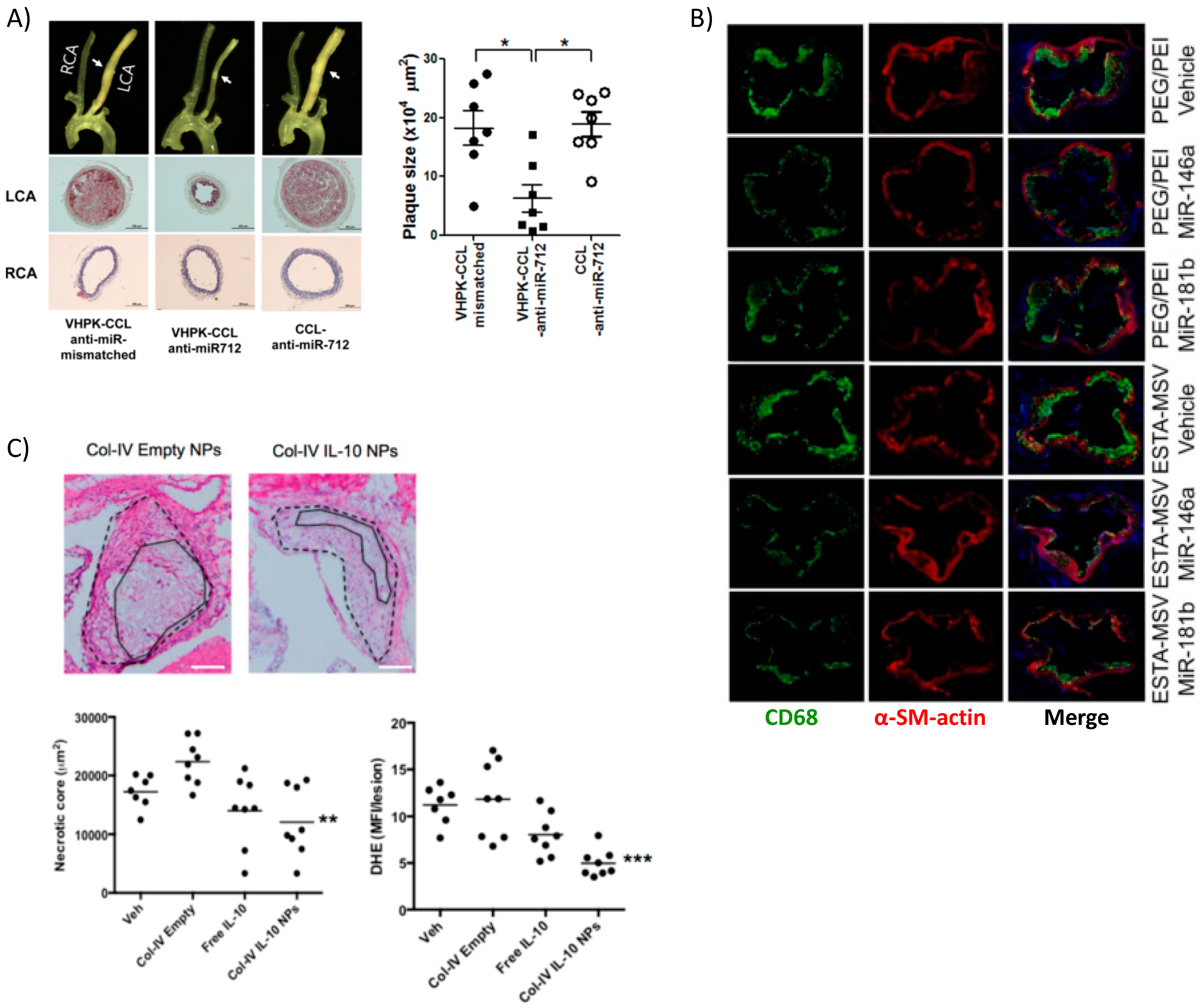 Materials 11 00754 g005