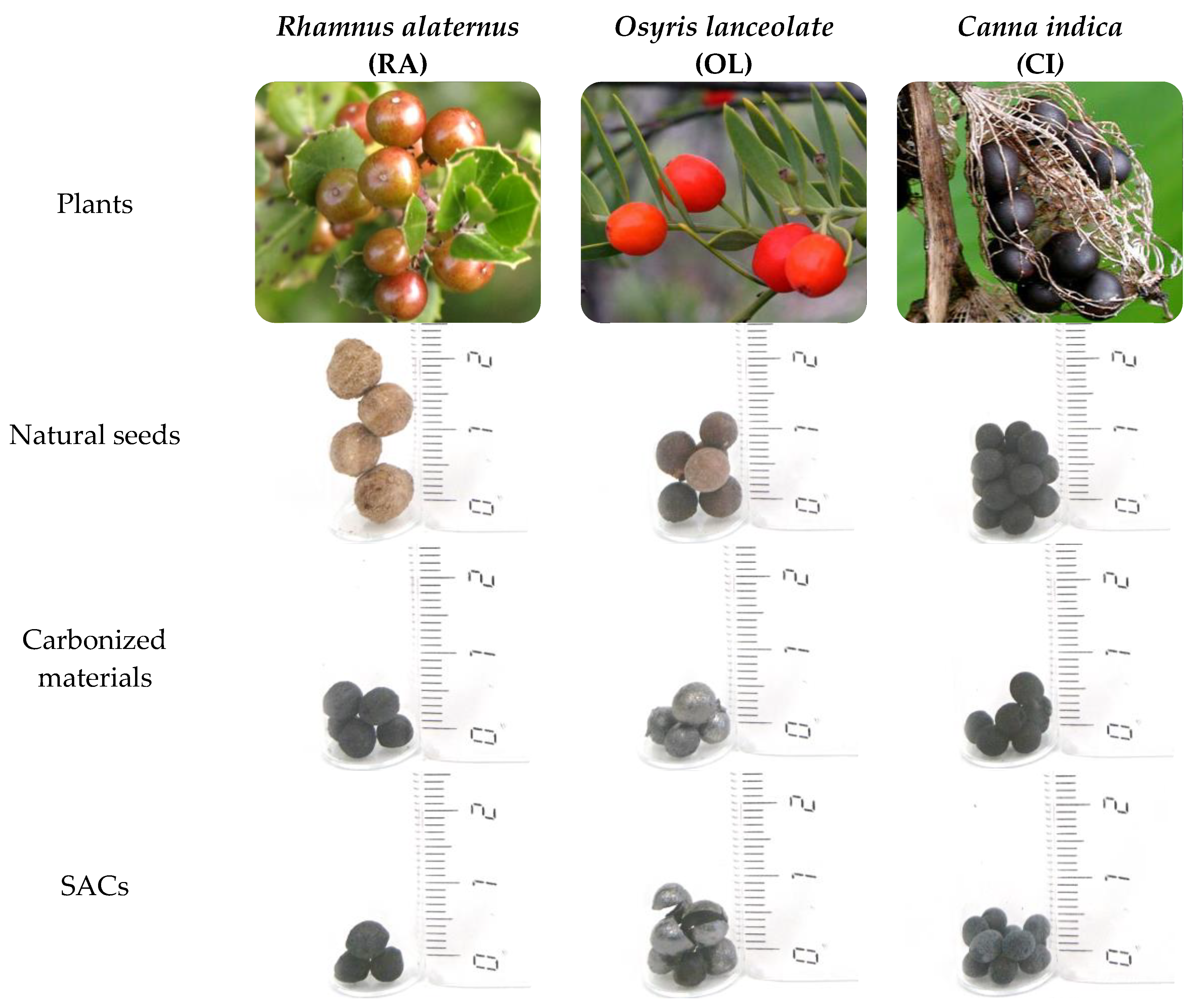 Materials 11 00770 g001