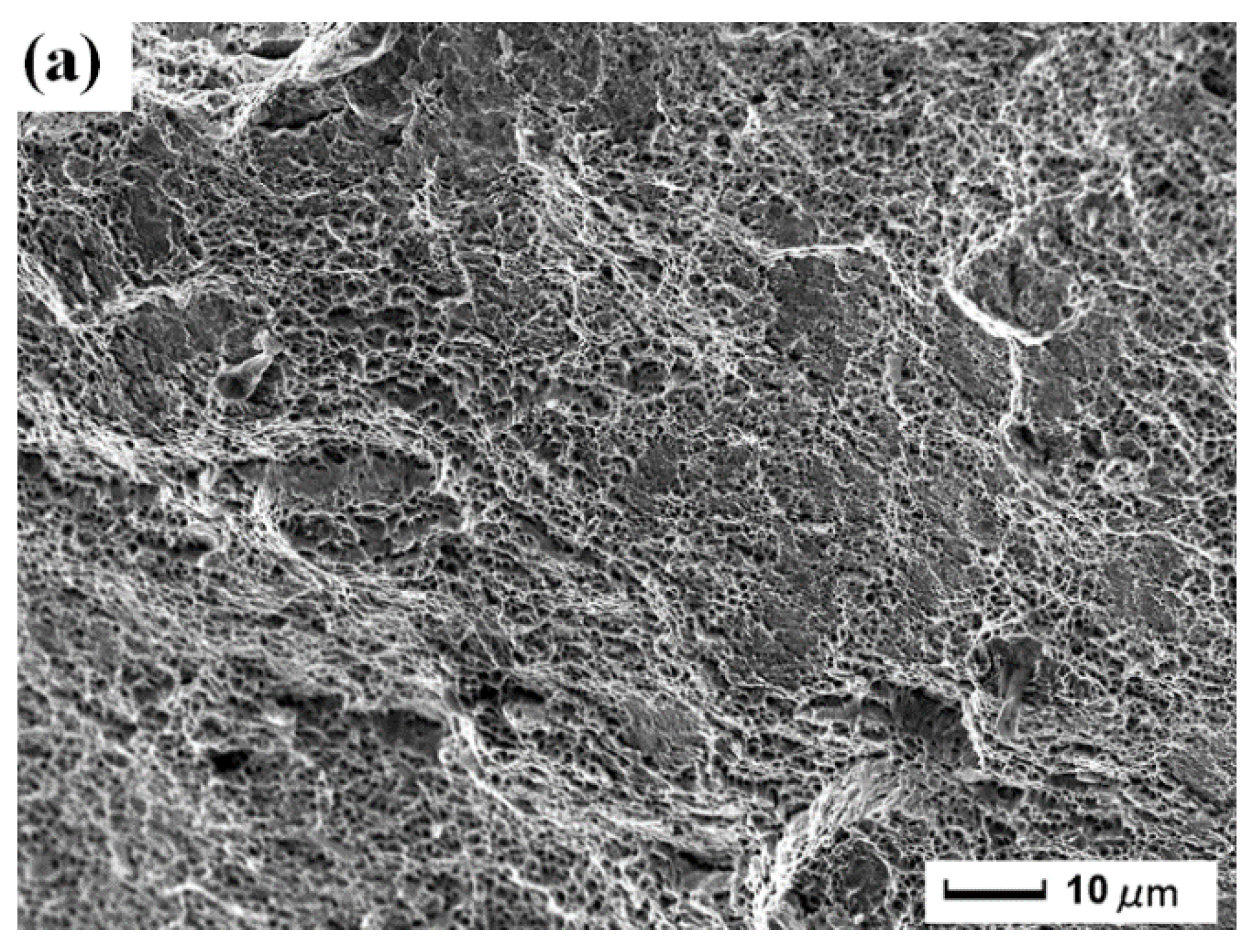 Materials 11 00805 g006a