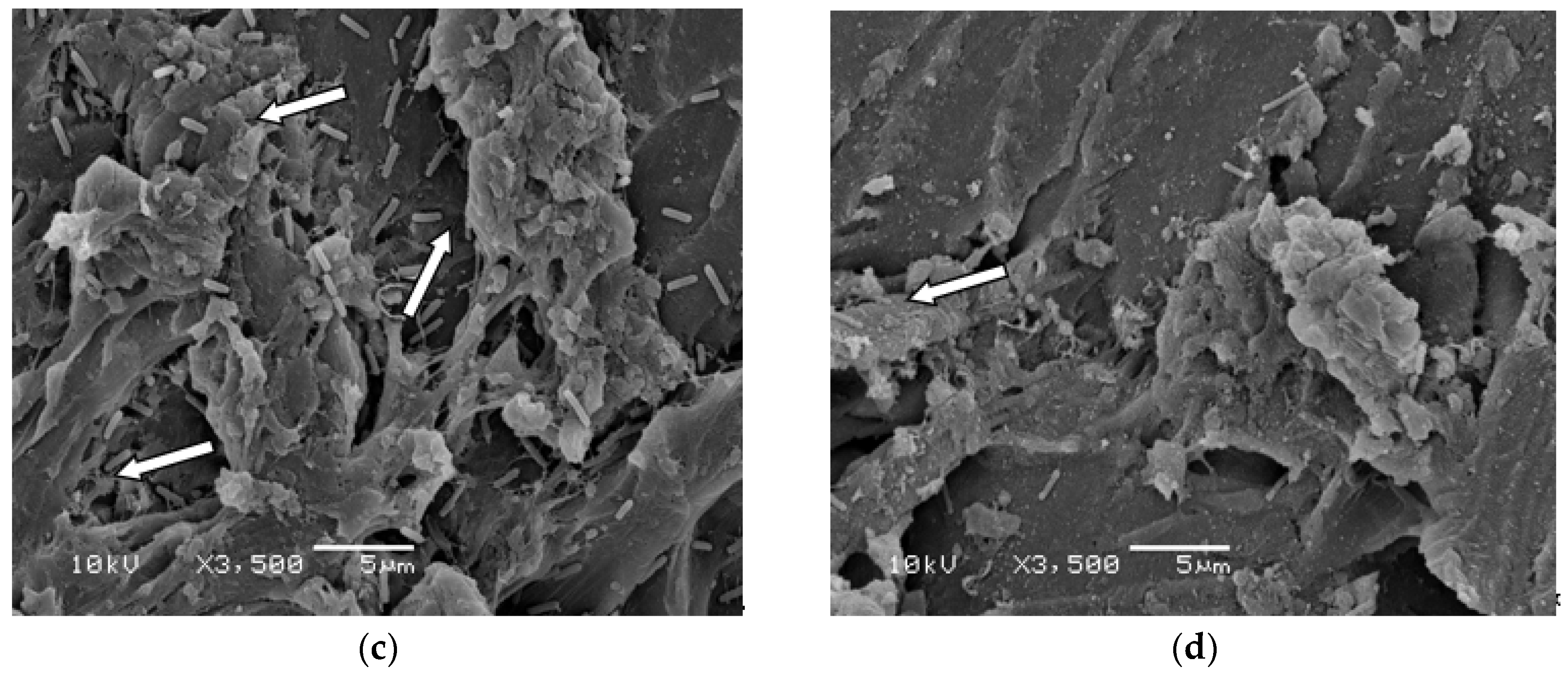 Materials 11 00811 g004b