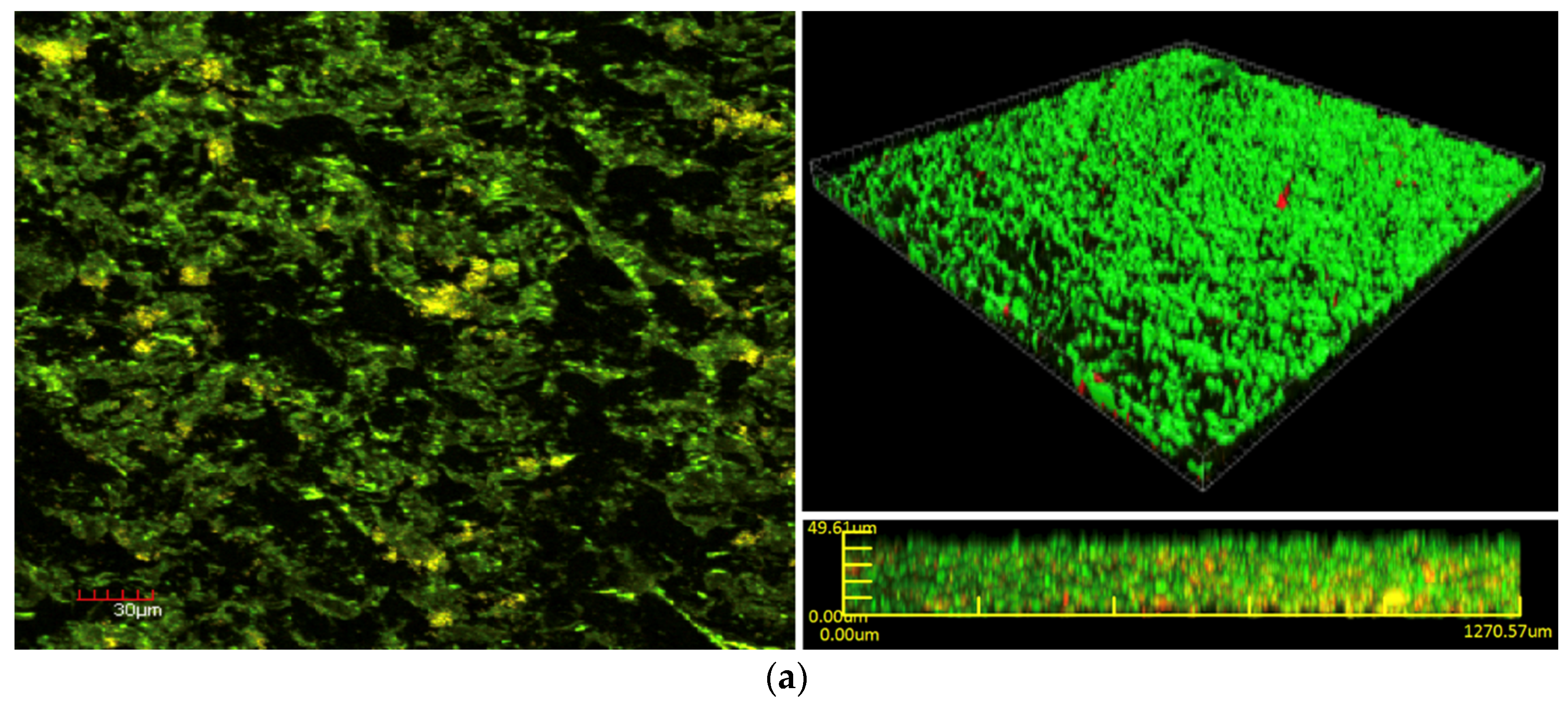 Materials 11 00811 g005a