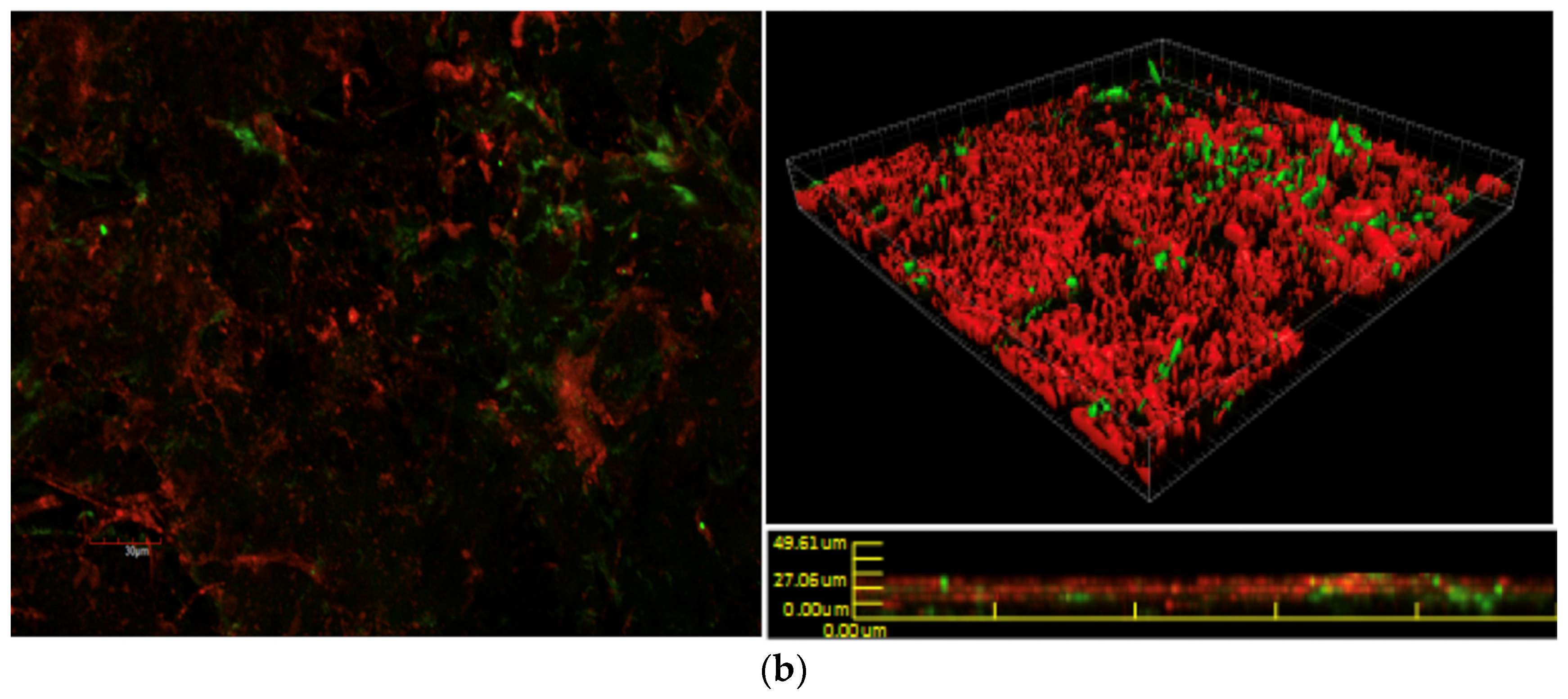 Materials 11 00811 g005b