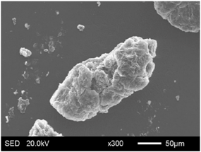 Materials 11 00818 i002