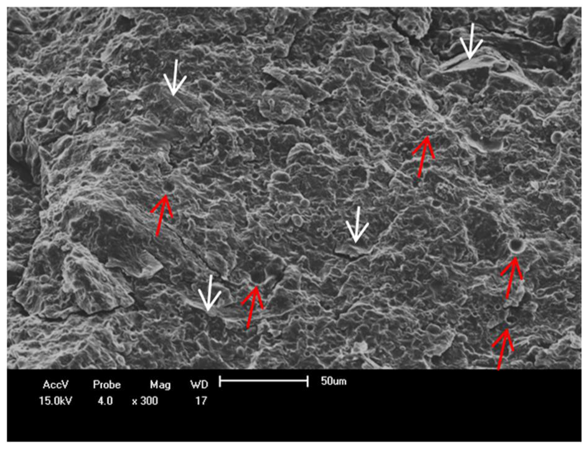 Materials 11 00820 g012