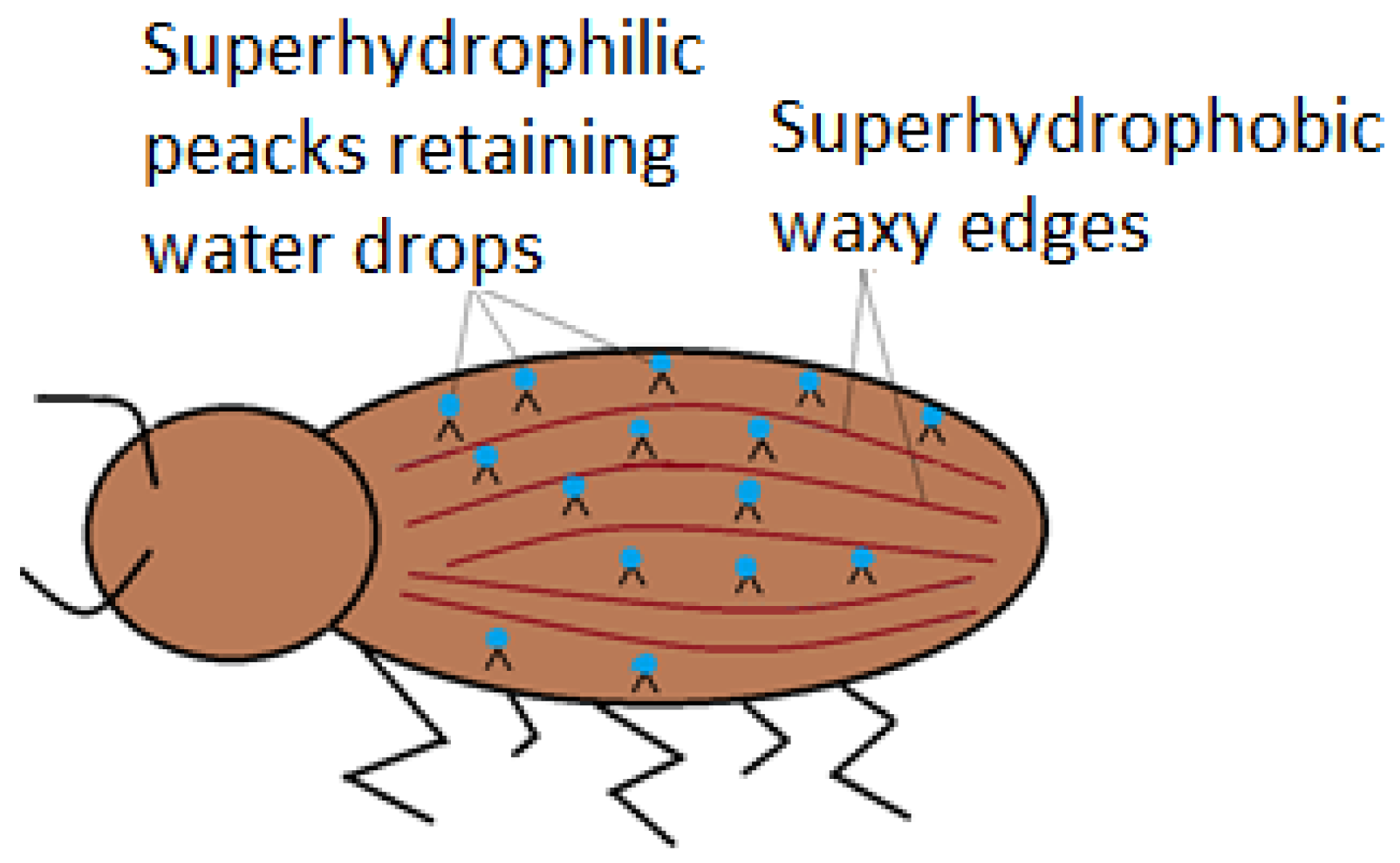 Materials 11 00866 g005