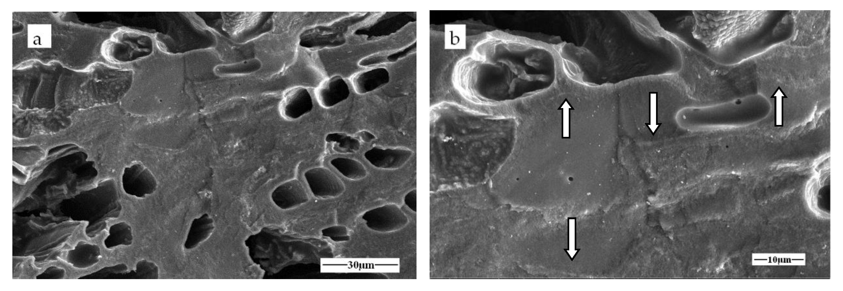 Materials 11 00878 g009