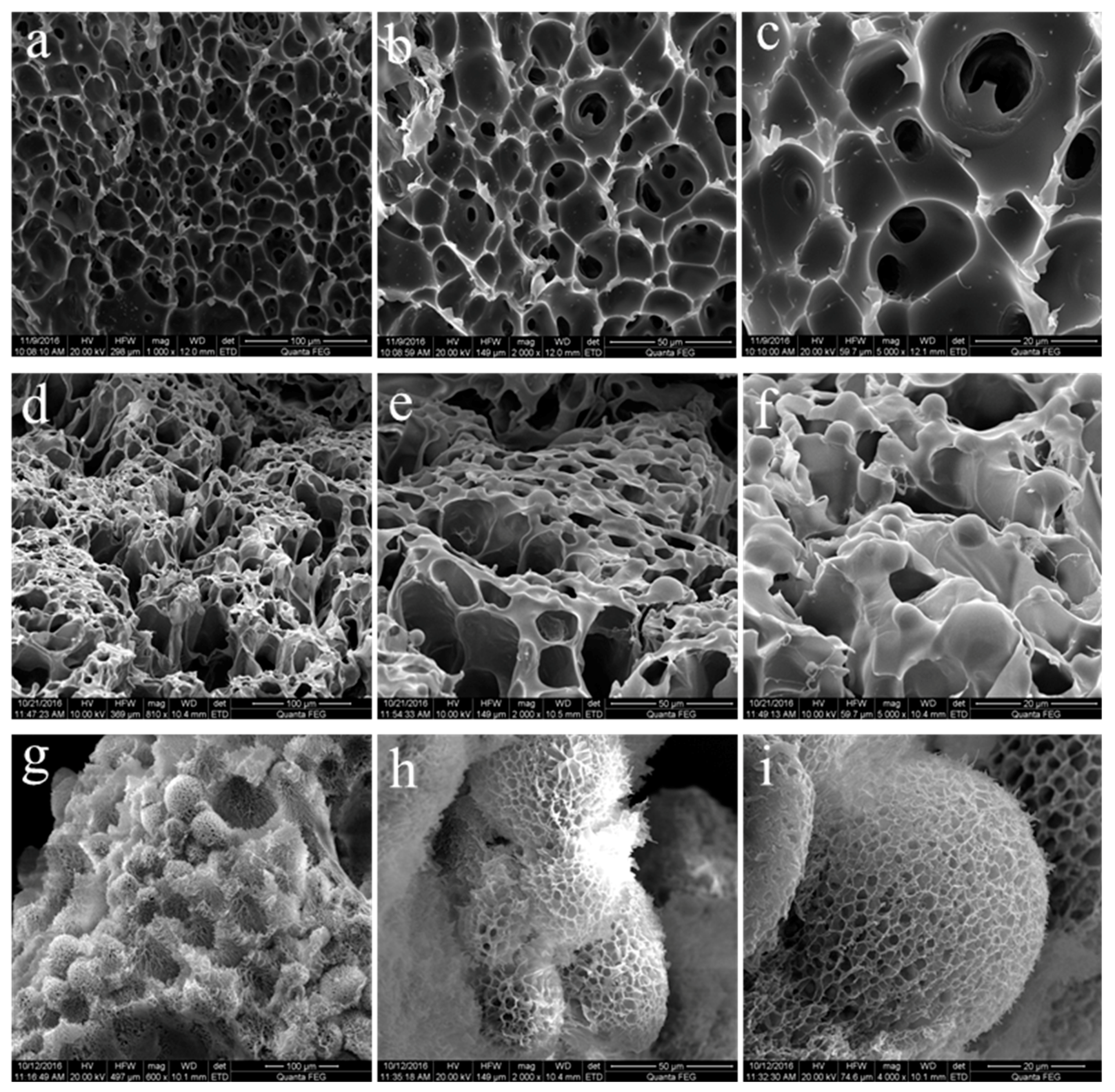 Materials 11 00880 g006