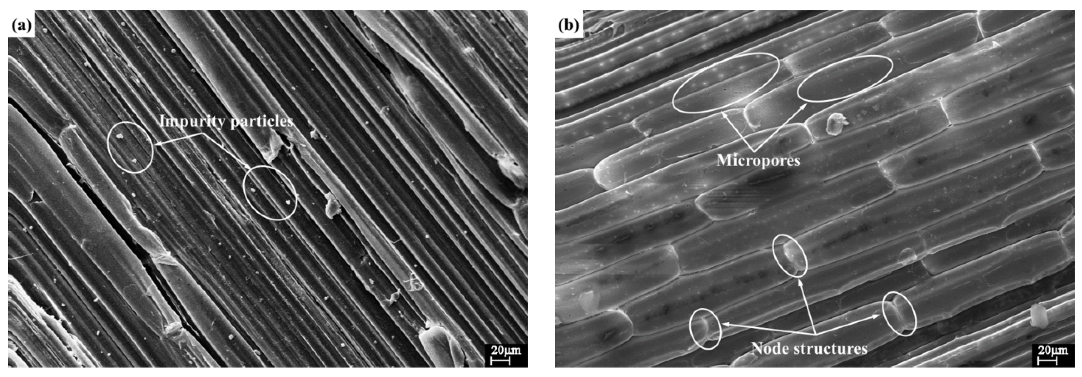 Materials 11 00901 g003