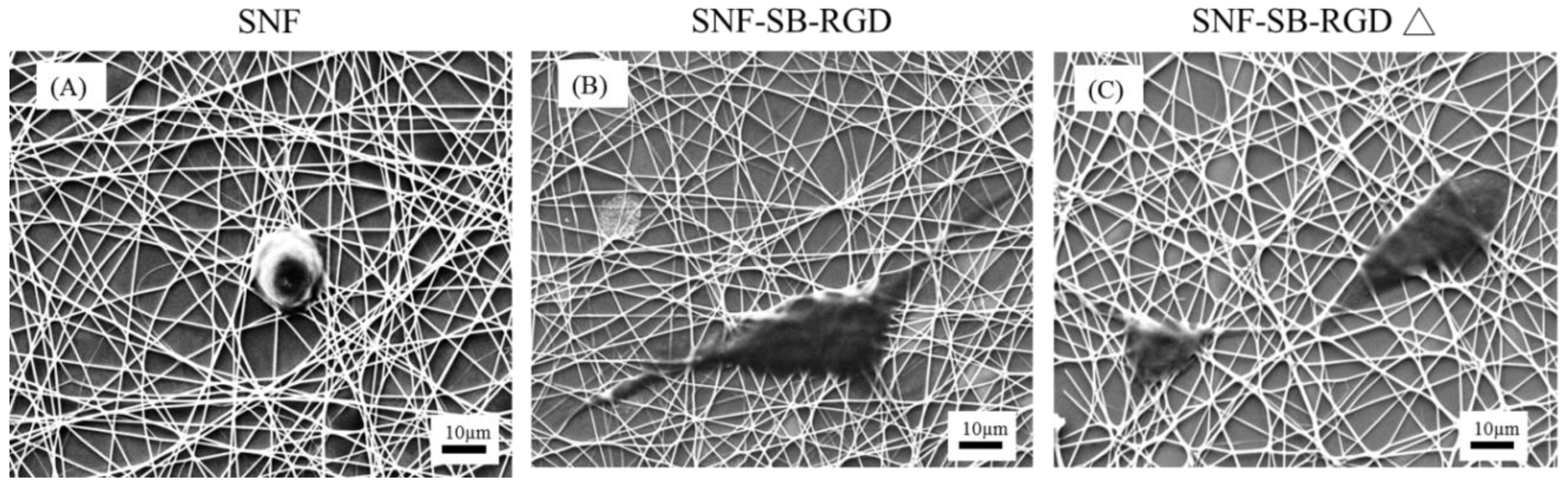 Materials 11 00927 g008