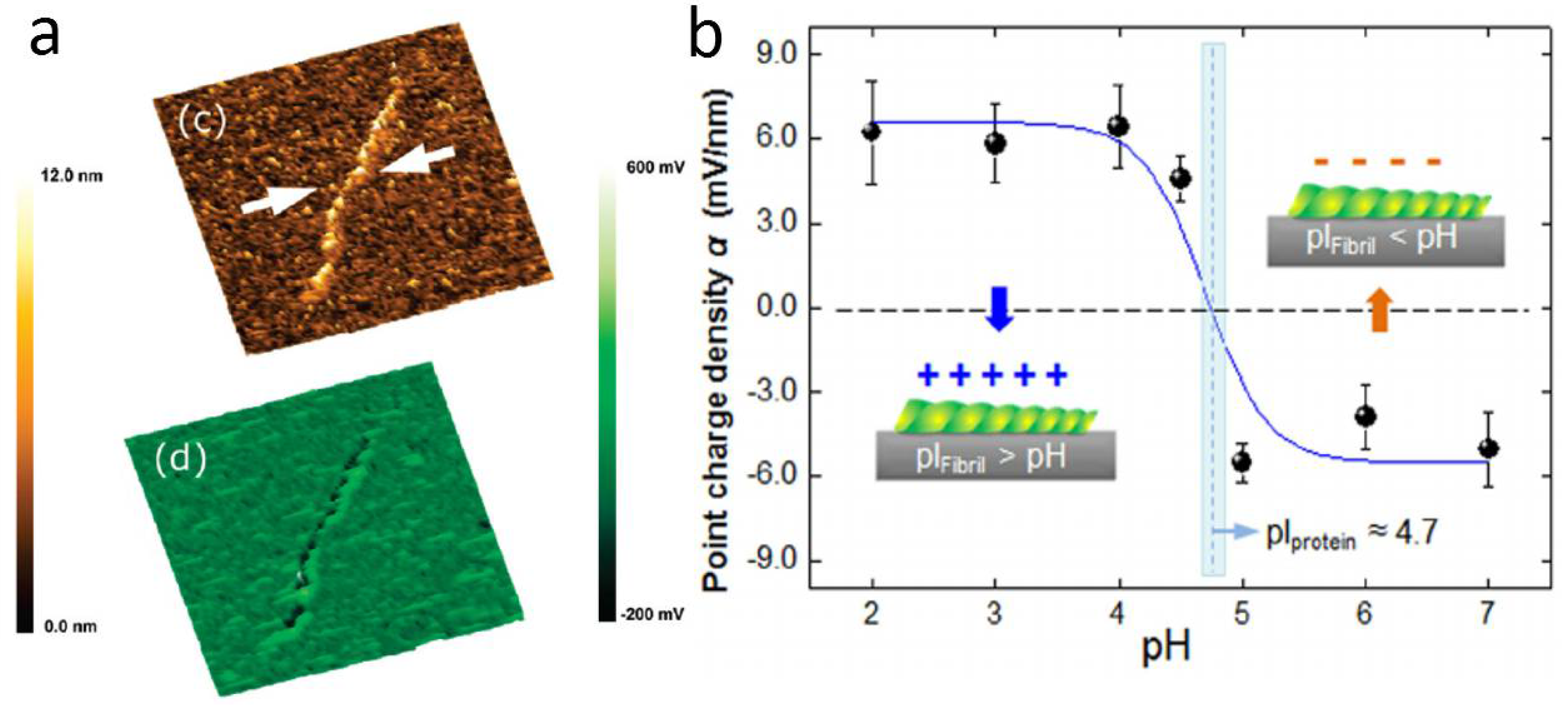 Materials 11 00951 g008