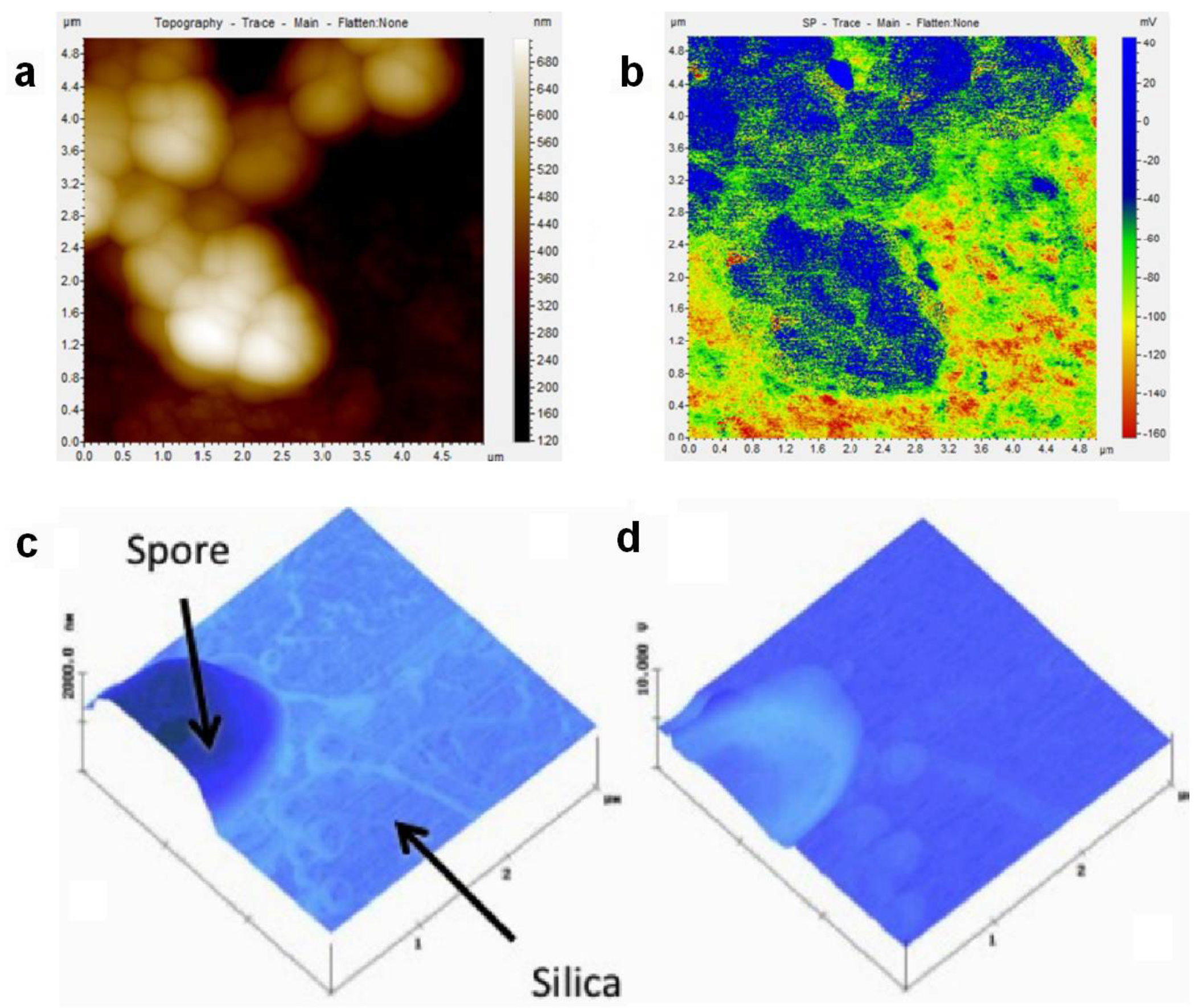 Materials 11 00951 g009