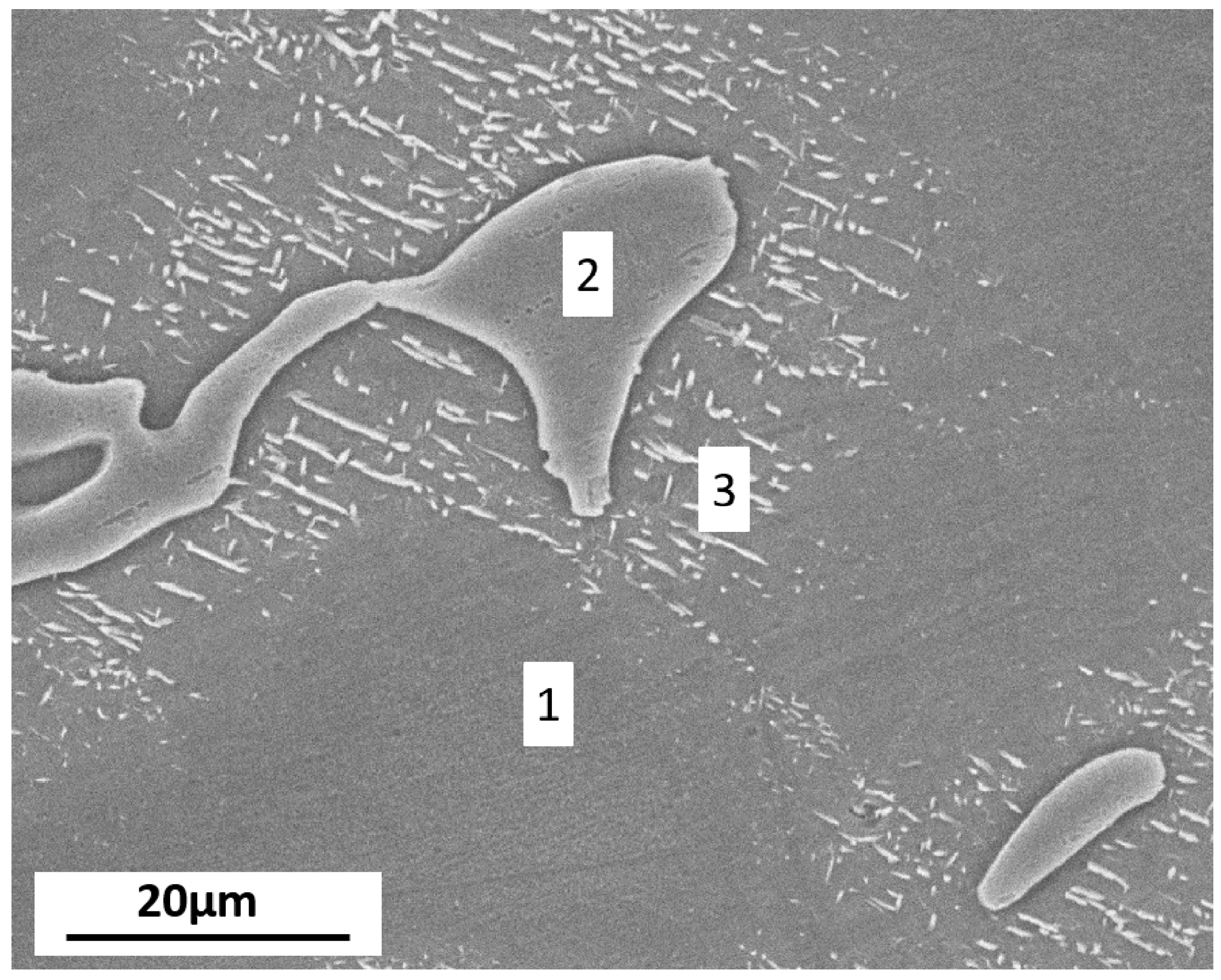 Materials 11 00970 g001