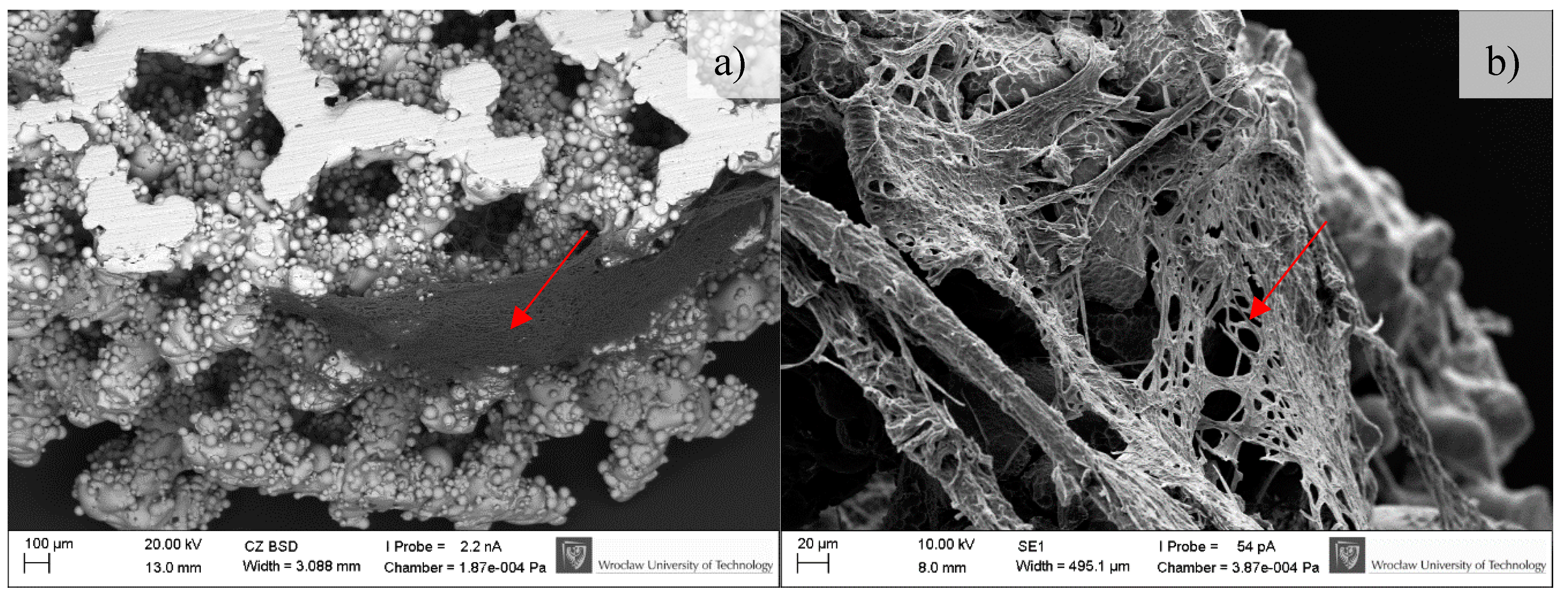 Materials 11 00971 g010